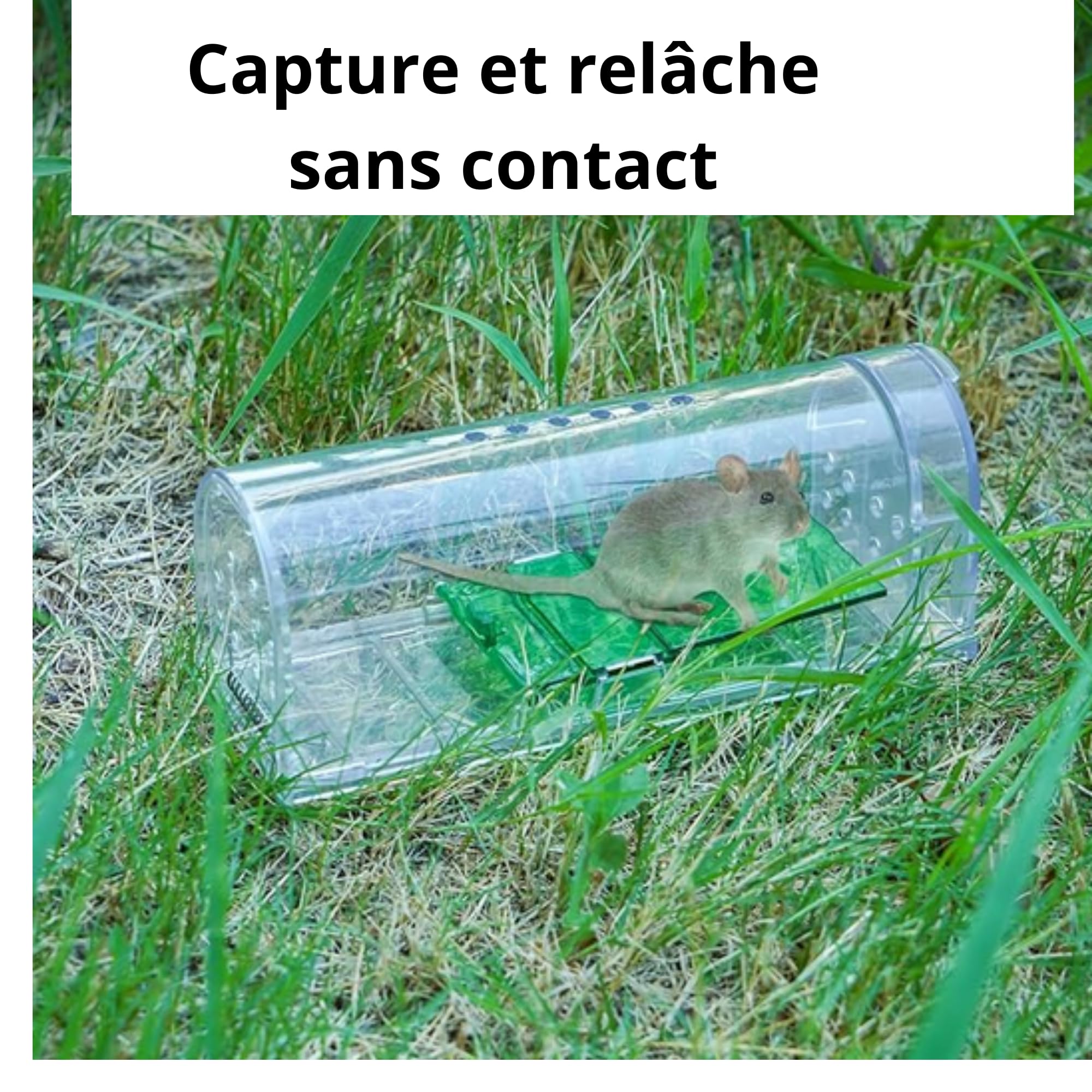 Piège à Souris vivantes Lot de 2 - boîte d'appât avec trous de ventilation et porte de sortie - Usage Intérieur et Extérieur Réutilisable