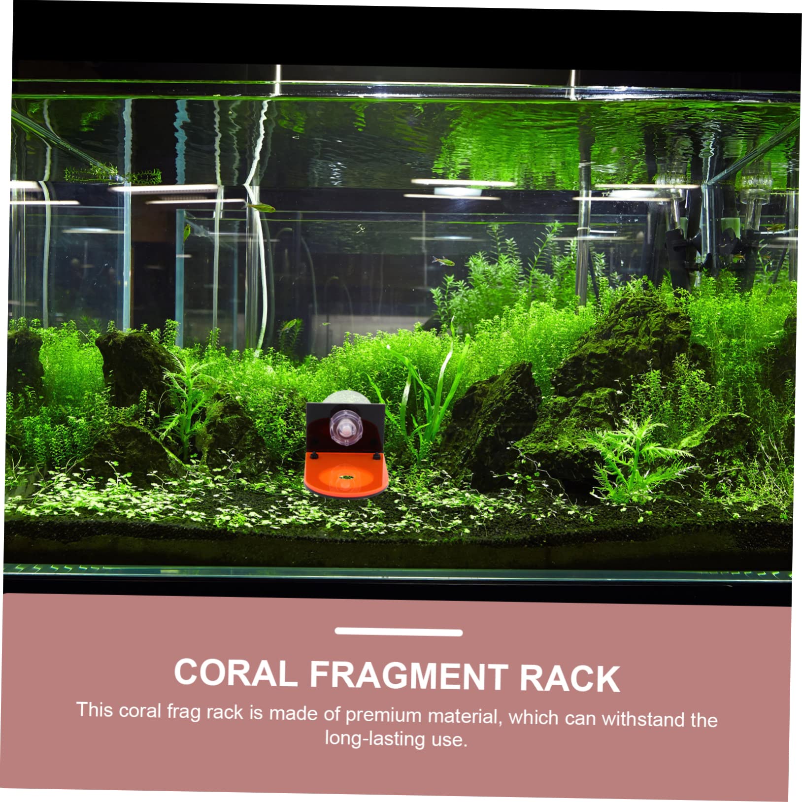 BESPORTBLE 8stücke Aquarium Korallenhalterungen Fluoreszierende Racks Für Zucht Wachstum Von Korallen Geeignet Für Süß Und Salzwasseraquarien Stabil Und Langlebig