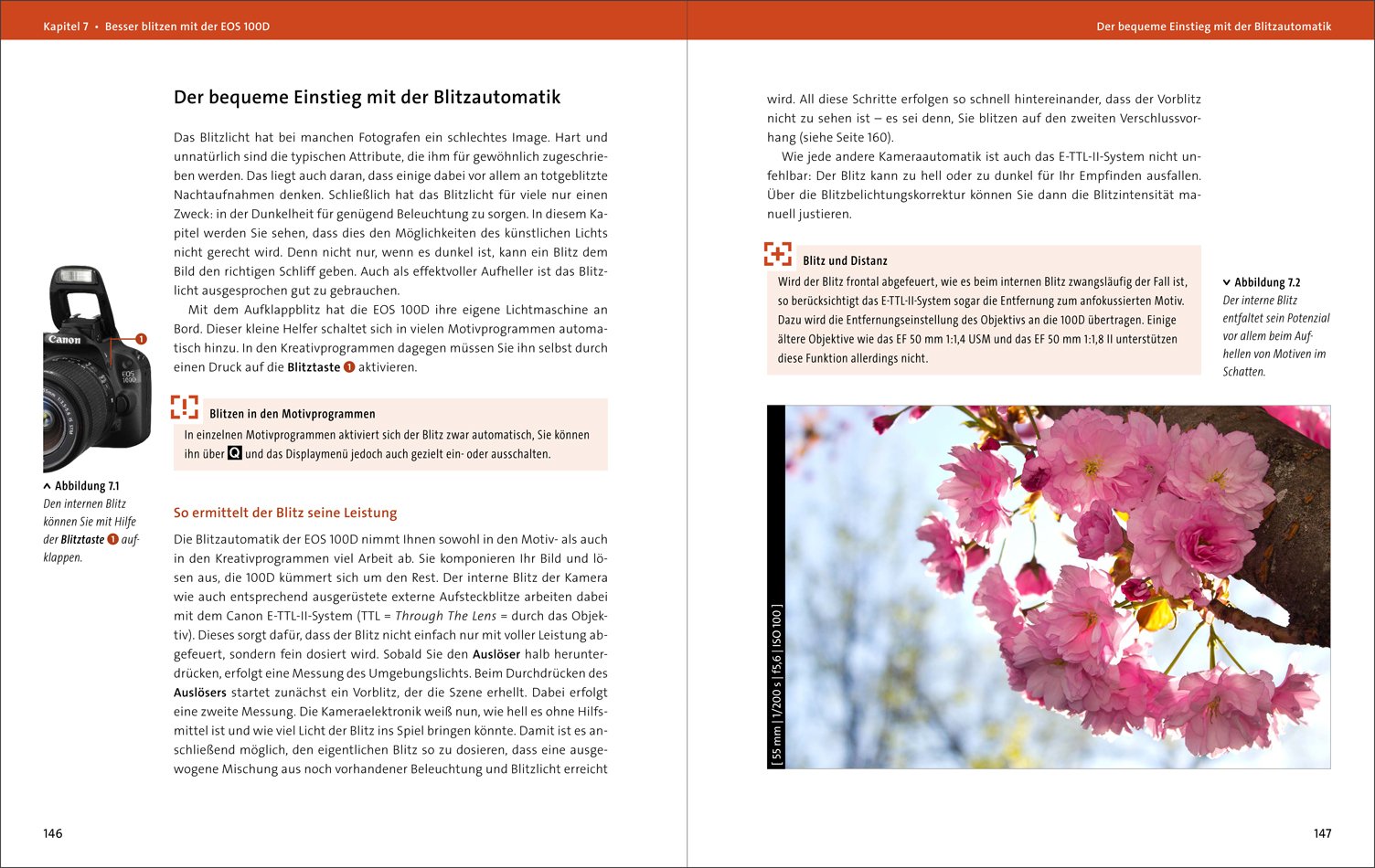 Canon EOS 100D: Das Handbuch zur Kamera