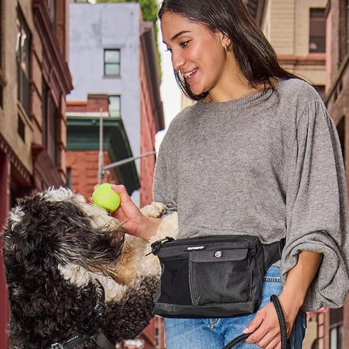 Miniatura 4 de Bolsa para pasear y tren para perros Bolsa de golosinas 2 en 1 manos libres, soporte para bolsa de excrementos, clicker, bolsillo para teléfono