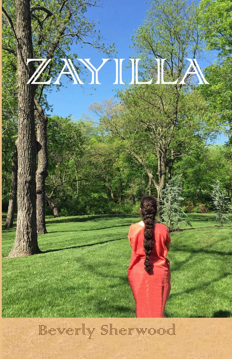 Zayilla Paperback – Import, 25 May 2019