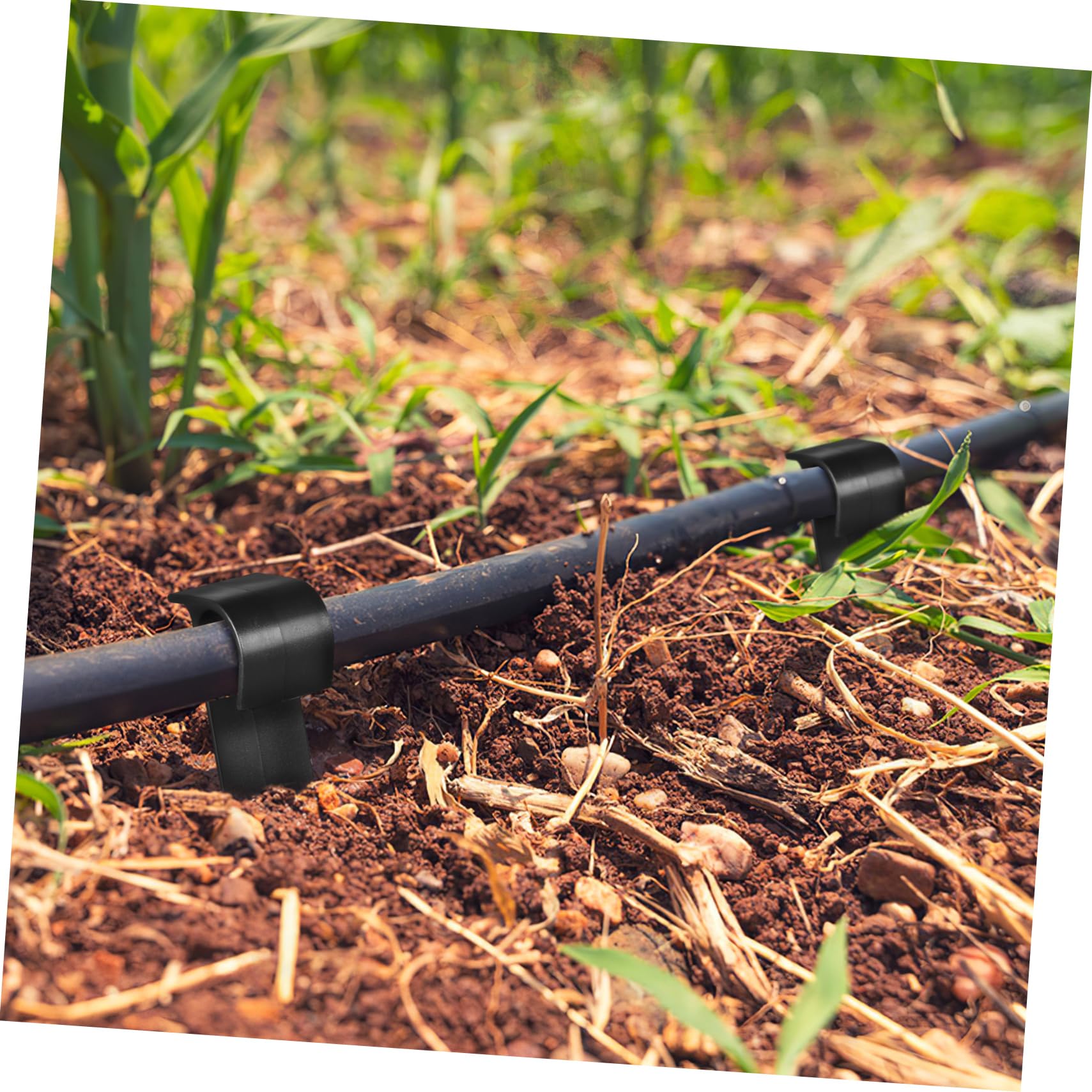 ibasenice 100 Stück Pe Bewässerungsschlauch Halter Pe Steckpfähle Tropfbewässerung Stützen Garten Bewässerungssystem Zubehör Robust Vielseitig Einfache
