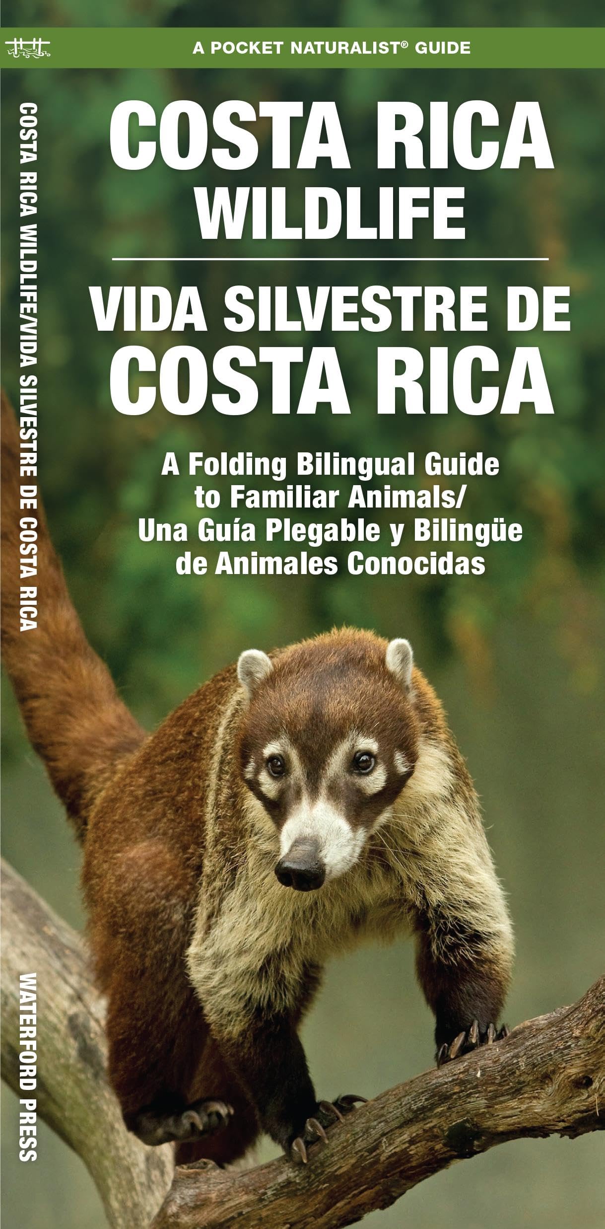 Costa Rica Wildlife/Vida Silvestre de Costa Rica, 2nd Ed (Nature Observation International)