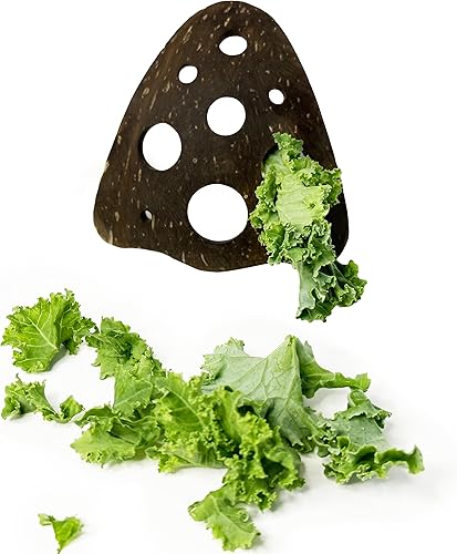 Miniatura 5 de Herramienta de eliminación de hierbas totalmente natural  Pelador de hierbas con 9 agujeros  Pelador de hierbas para tomillo, cilantro, romero,