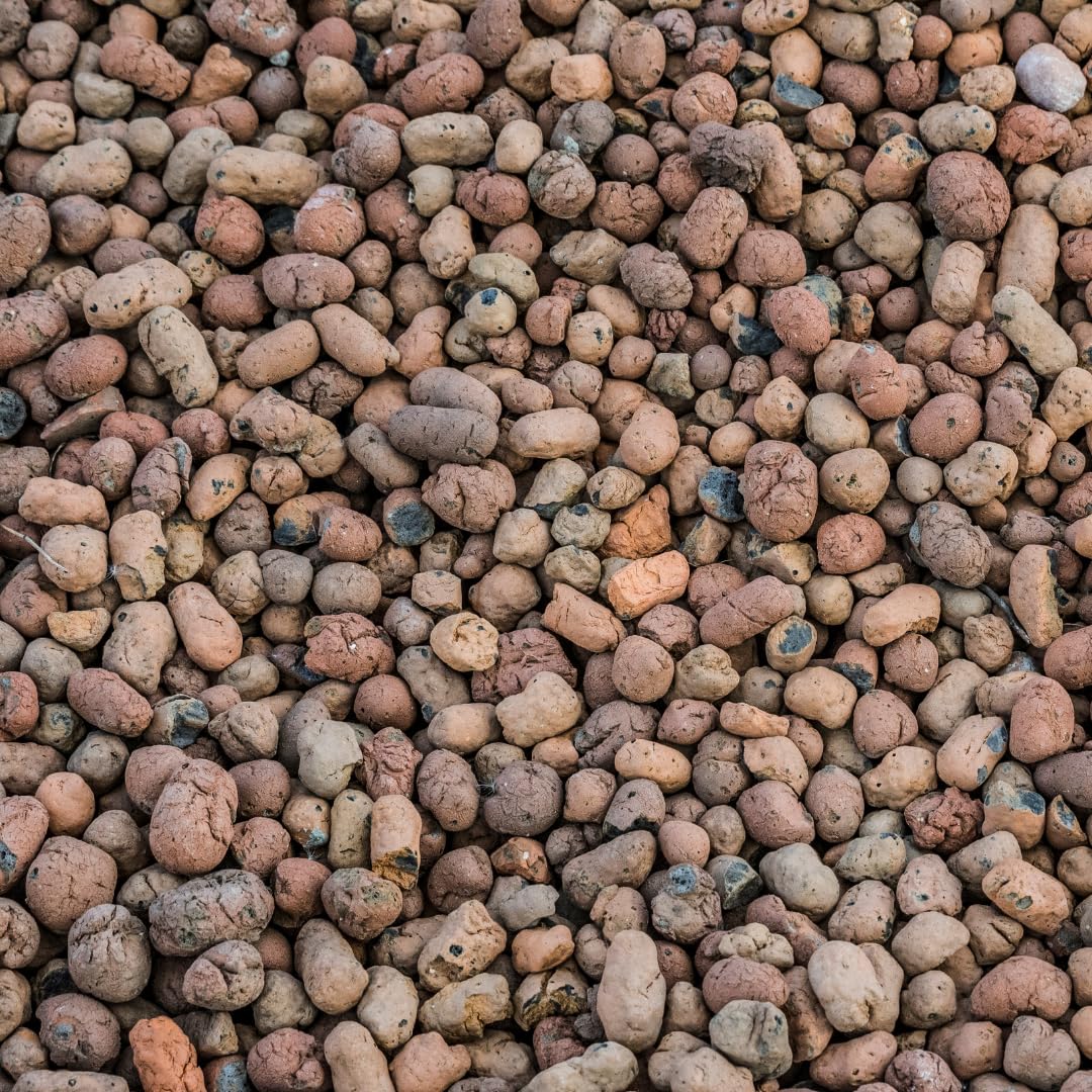 AgriArgile Expansée PH Contrôlé - 10 Litres - Granulométrie 8-20 Mm - Pour Drainage Pots Et Hydroculture - 2