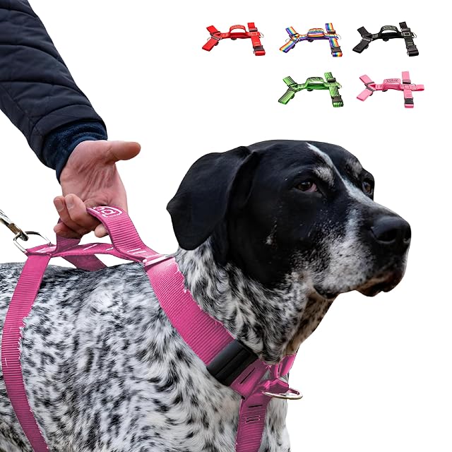 Bub’s® Arnés Perro Grande con Asa Antitirones - Arnés Perro Forma de H - Pechera Canina (Grande con Asa, Rosa)