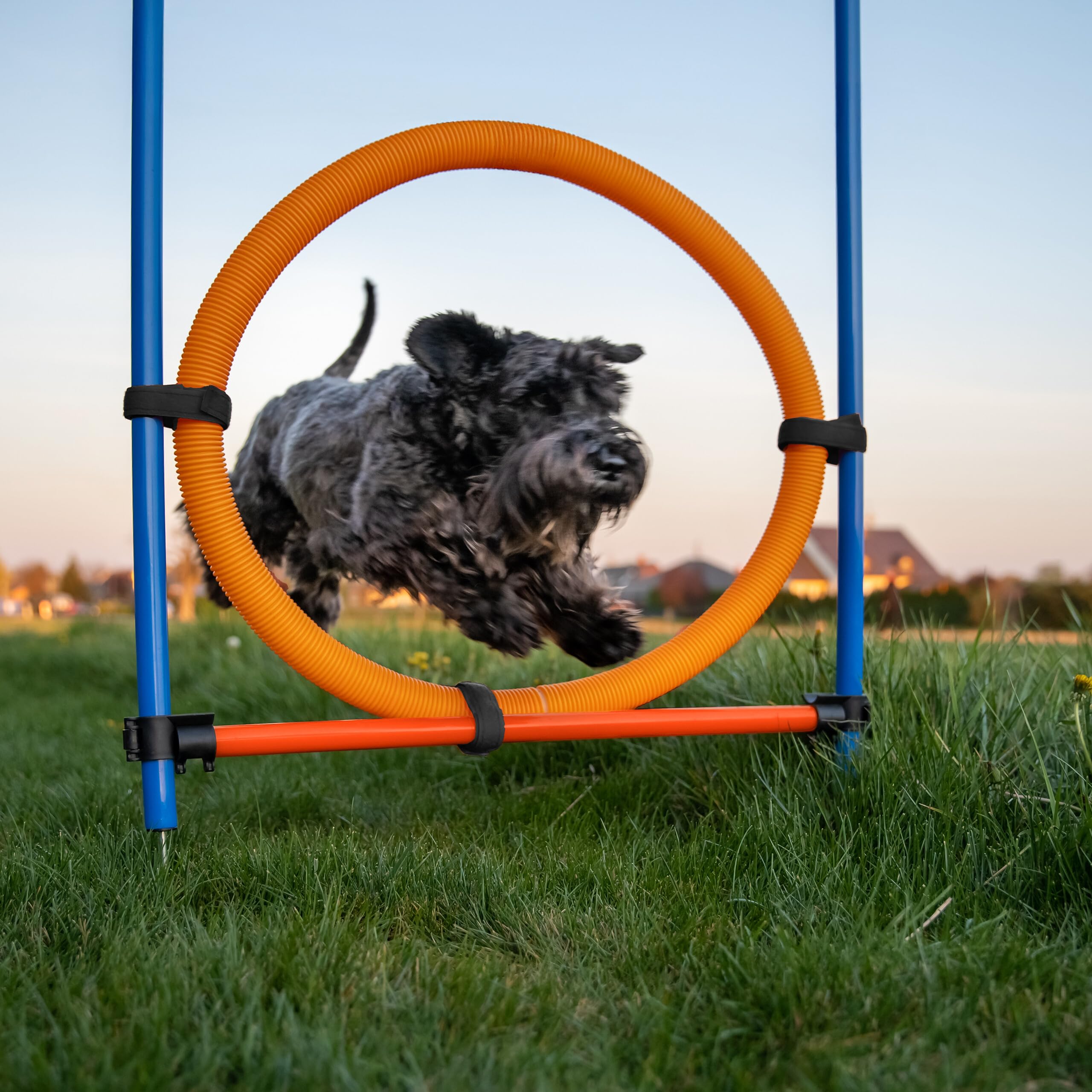 Relaxdays Set Agility Dog a Ostacoli, Addestramento Cani Attrezzatura, Allenamento con Tunnel, Paletti e Slalom Colorato