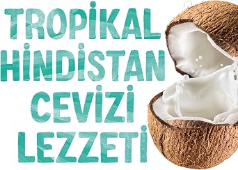 Alpro Hindistan Cevizi Bitki Bazlı İçecek 1 L