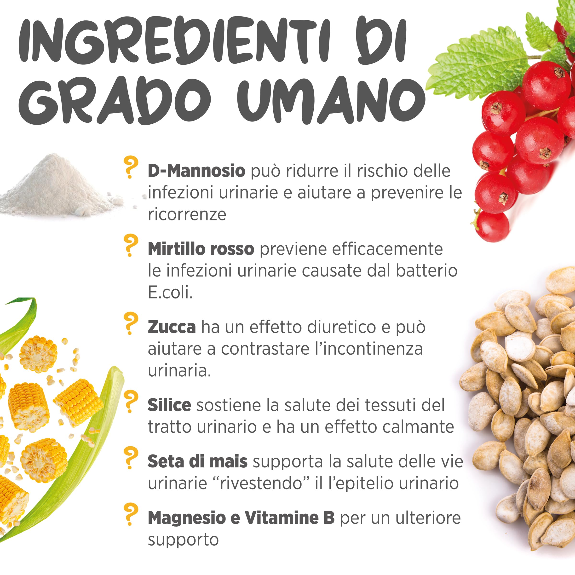 maxxipaws maxxiUtract Benessere Urinario e della Vescica - Integratore in Polvere per Cani, 150g
