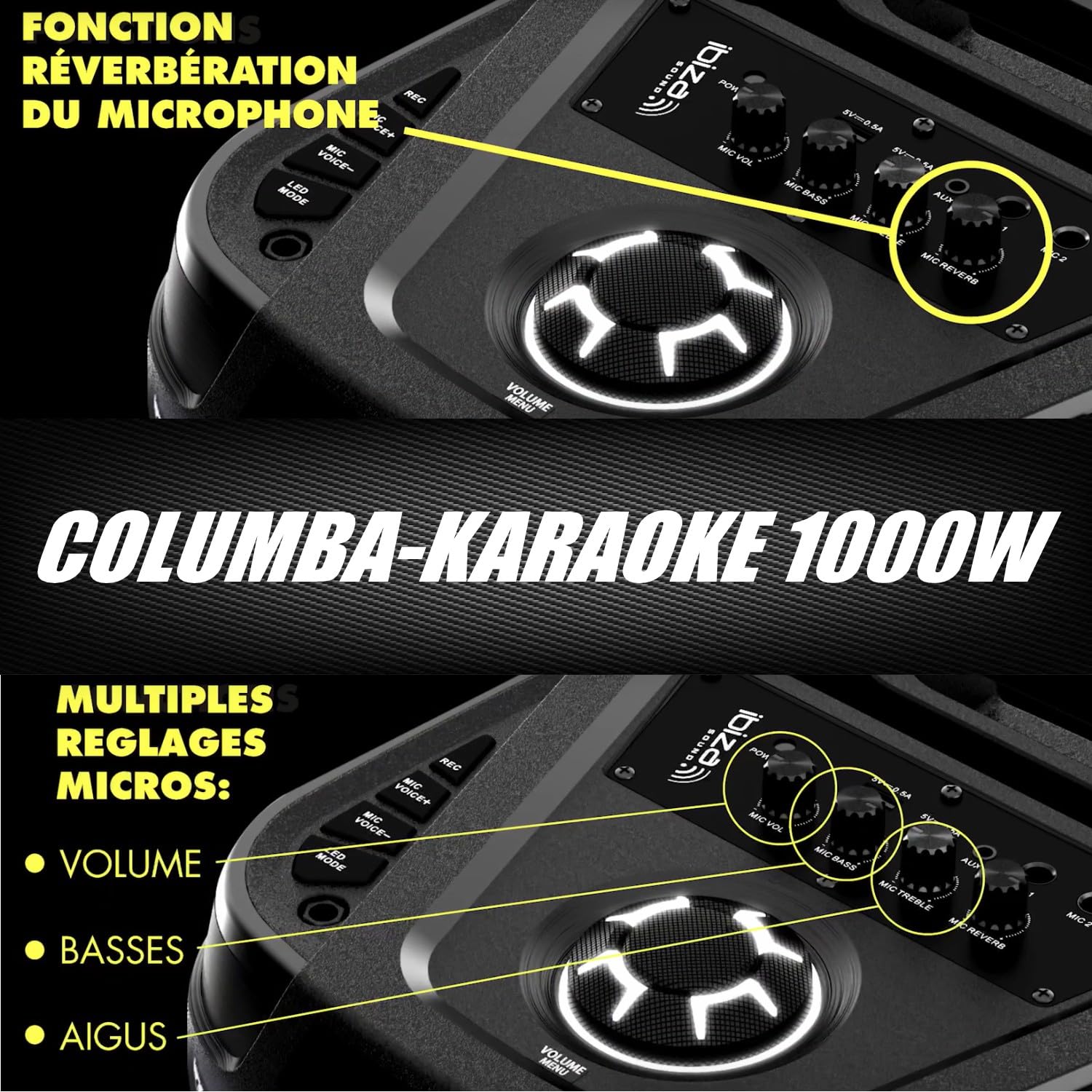 Ibiza Sound - Pack Enceinte Karaoké Columba-Karaoke 1000W USB Bluetooth TWS - 2 Micros sans Fil - Effet Astro LED 6 Couleurs - Soirée