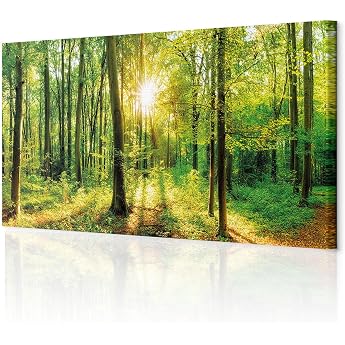 decomonkey Pictures Forest 150 x 50 cm XXL 1-Piece Canvas Pictures Wall Picture Tree