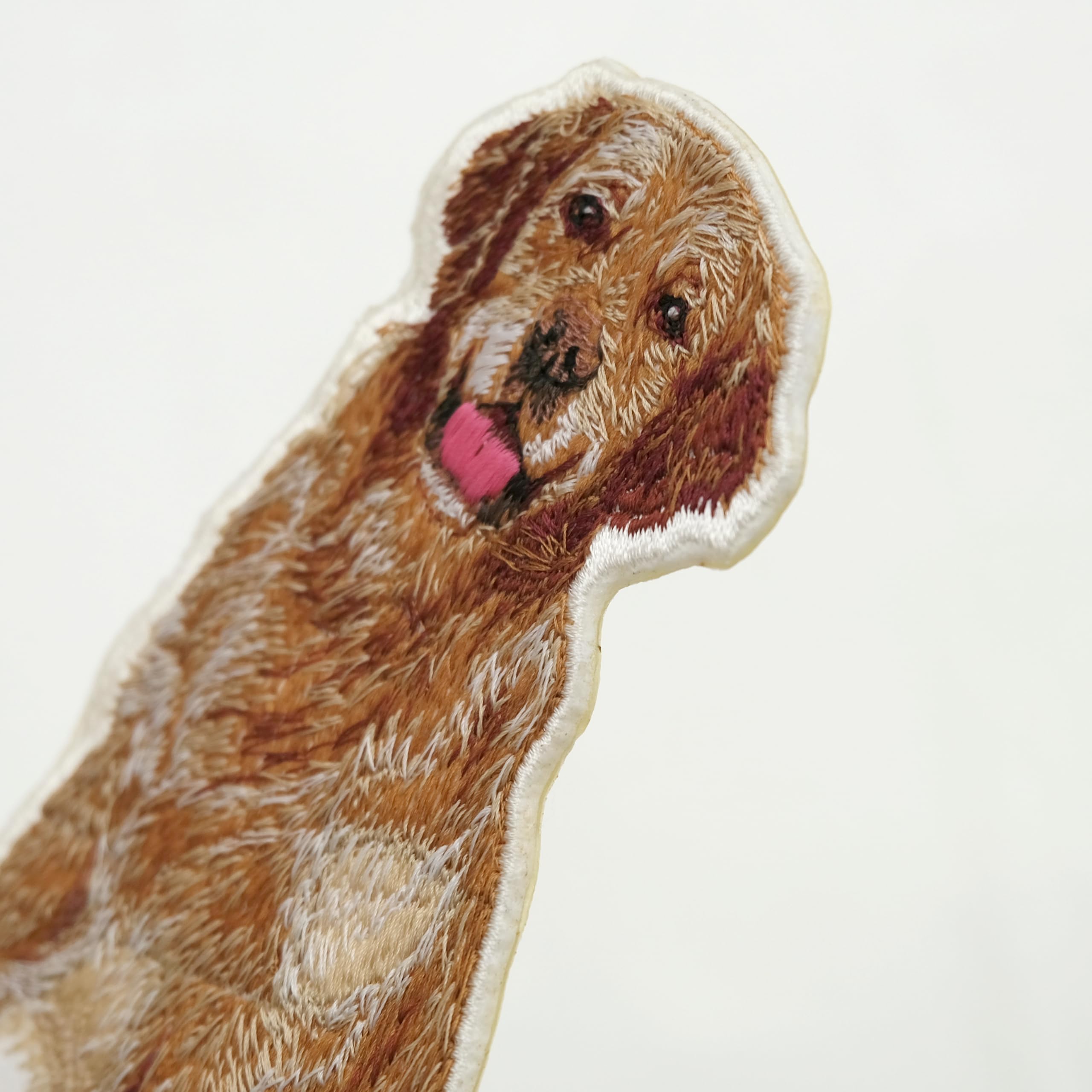 Amazon.co.jp: ［Fan Fun］ゴールデンレトリバー【左向き