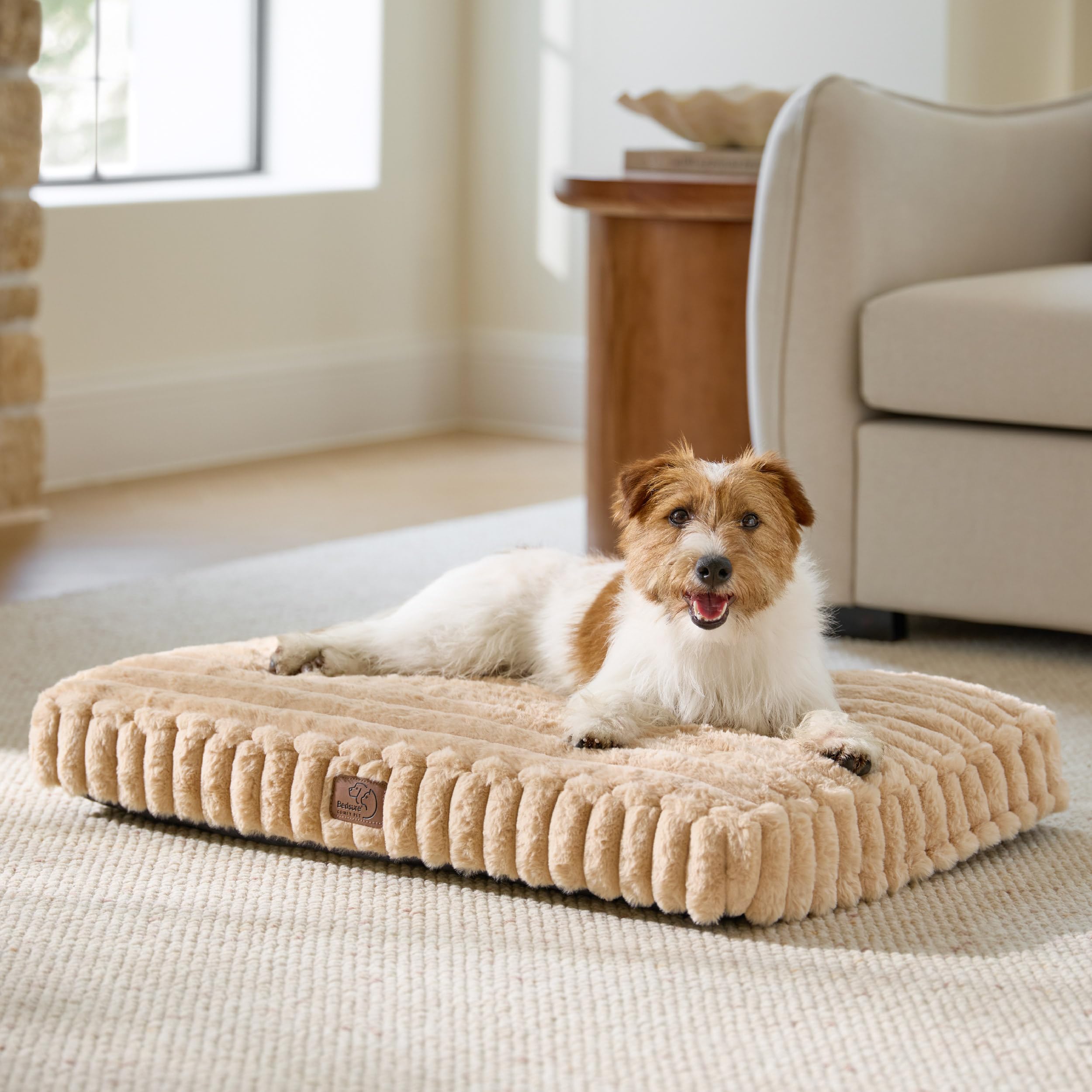Dog Beds