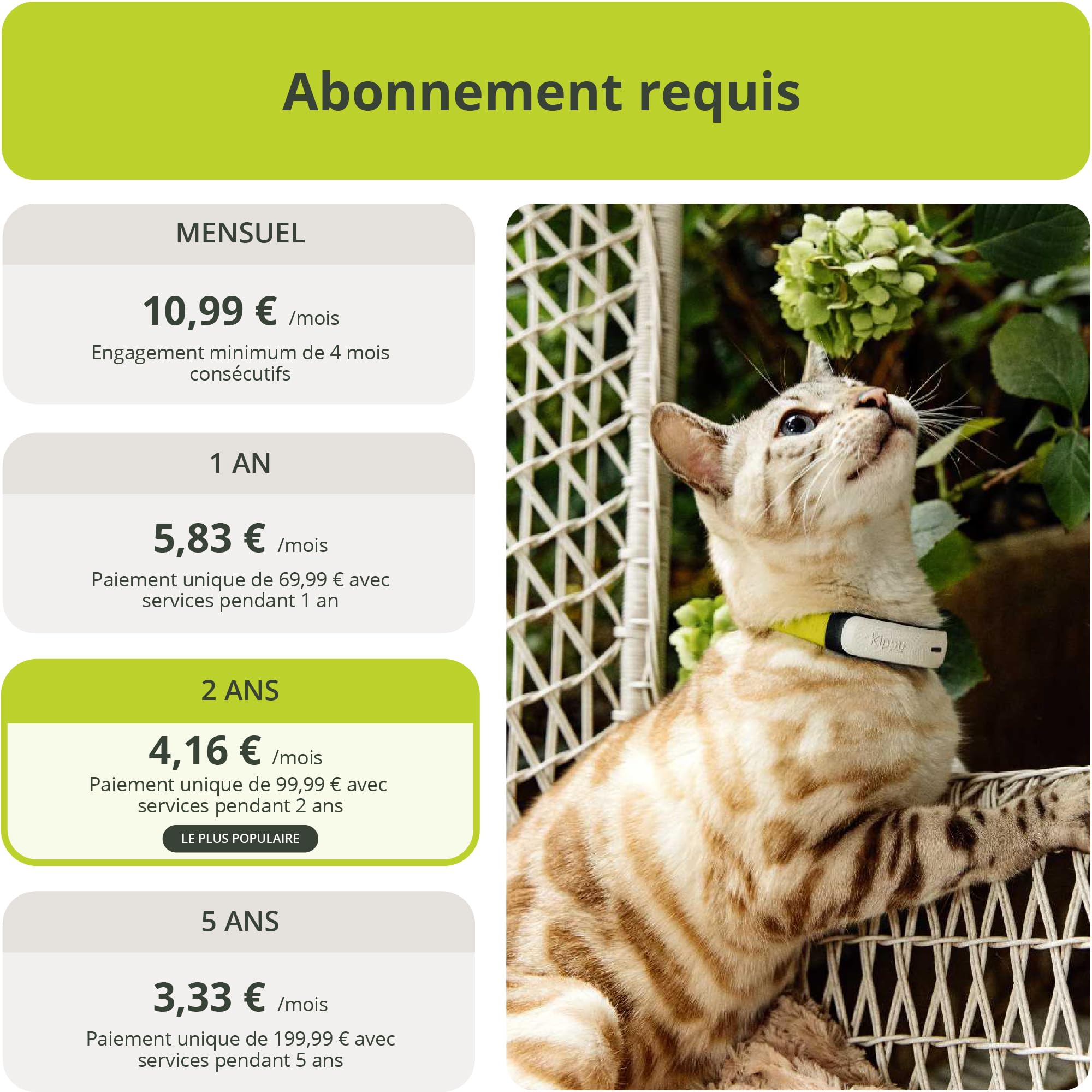 Kippy Cat V2 - Collier GPS pour Chats - Localisateur et Tracker de Santé et d'Activité avec Système Anti-Étranglement - Créer des Frontières Virtuelles - Suivi en Temps Réel