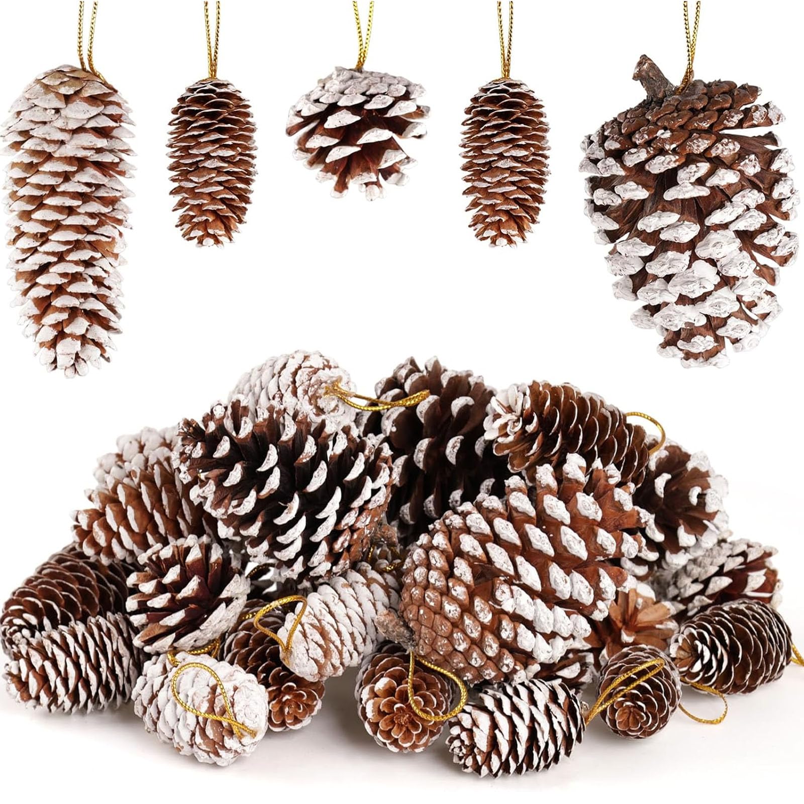 JOHOUSE Piñas de pino natural con nieve, 28 piñas de Navidad con cuerdas, surtido de piñas rústicas para decorar Navidad, otoño e invierno