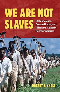 We Are Not Slaves: State Violence, Coerced Labor, and Prisoners' Rights in Postwar America (Justice, Power, and Politics) - coolthings.us