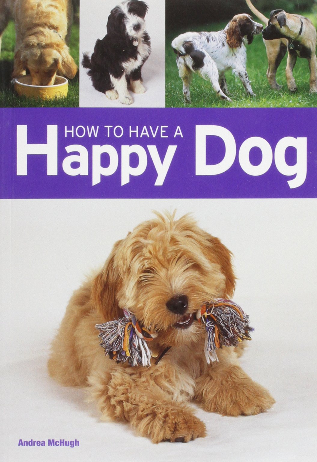 How to have a Happy Dog