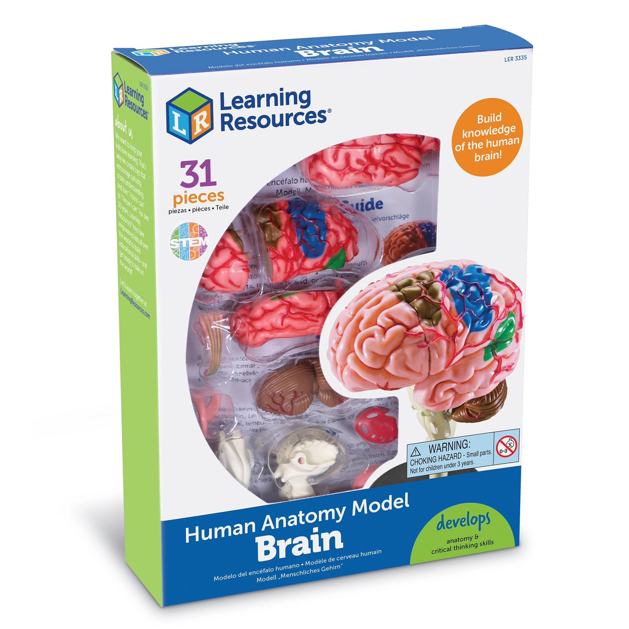 Learning Resources Czlowiek Anatomia Model Czlowiek Mózg 31-Kawałek Zestaw