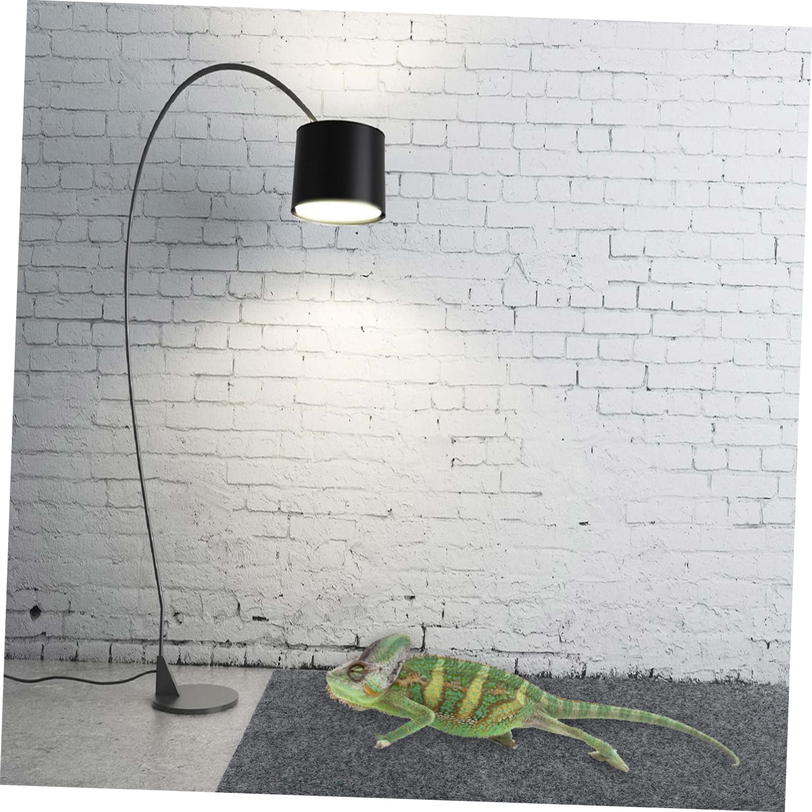 COLLBATH 8stücke Reptilien Teppich Unterlage Für Terrarium Graue Und Absorbierende Matten Geeignet Für Eidechsen Schlangen Und Schildkröten rutschfest Und Langlebig