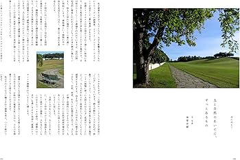 Amazon.co.jp: 建築家 堀部安嗣: 人と自然のあいだに、ずっとあるもの