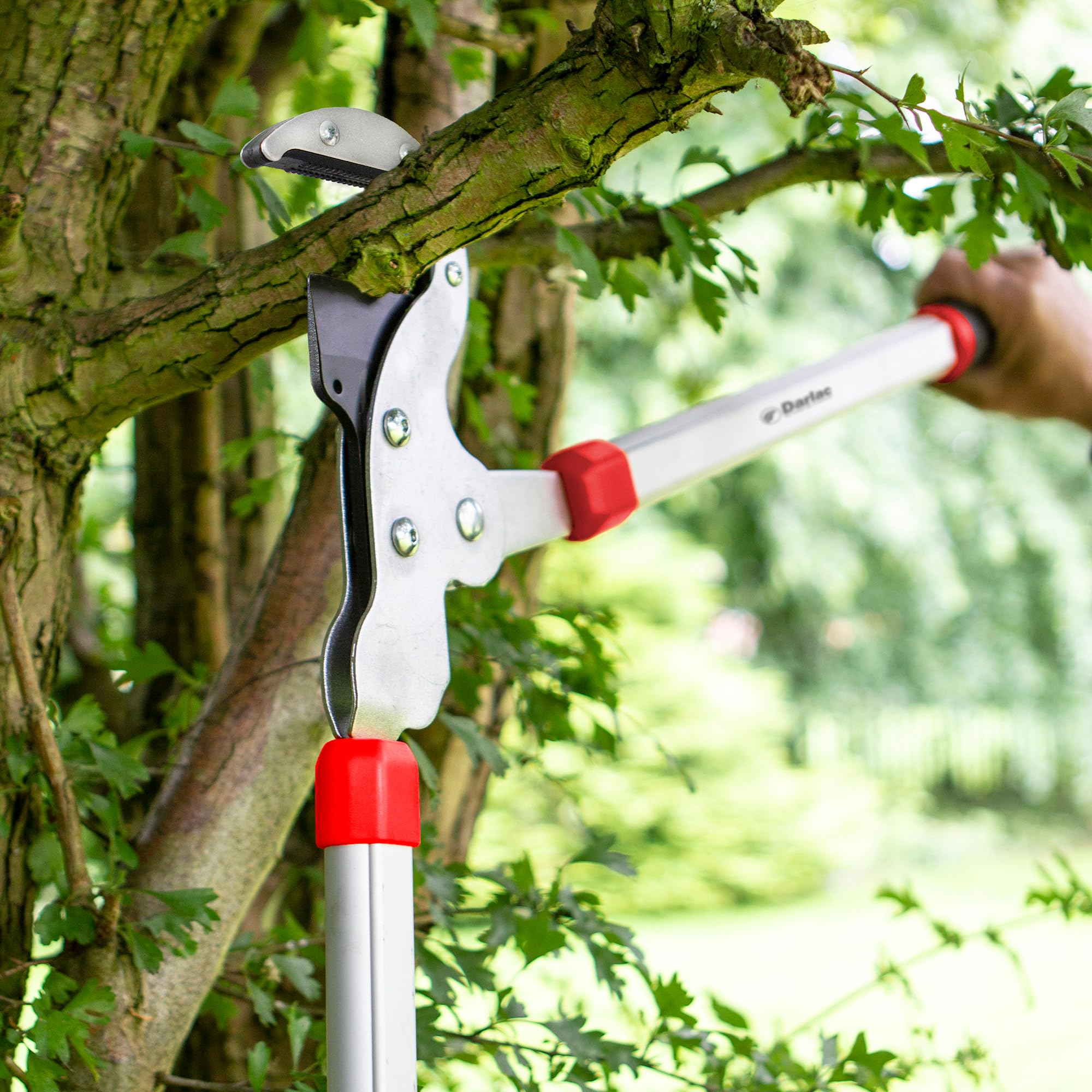 Darlac Élagueur de jardin à enclume robuste – Idéal pour élaguer le bois dur ou mort – Poignées légères en aluminium avec poignées ovales nervurées