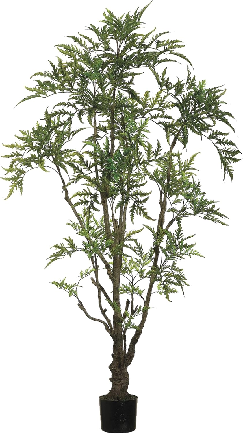 Silk Plants Direct Outdoor Ming Aralia Tree (Pack of 2