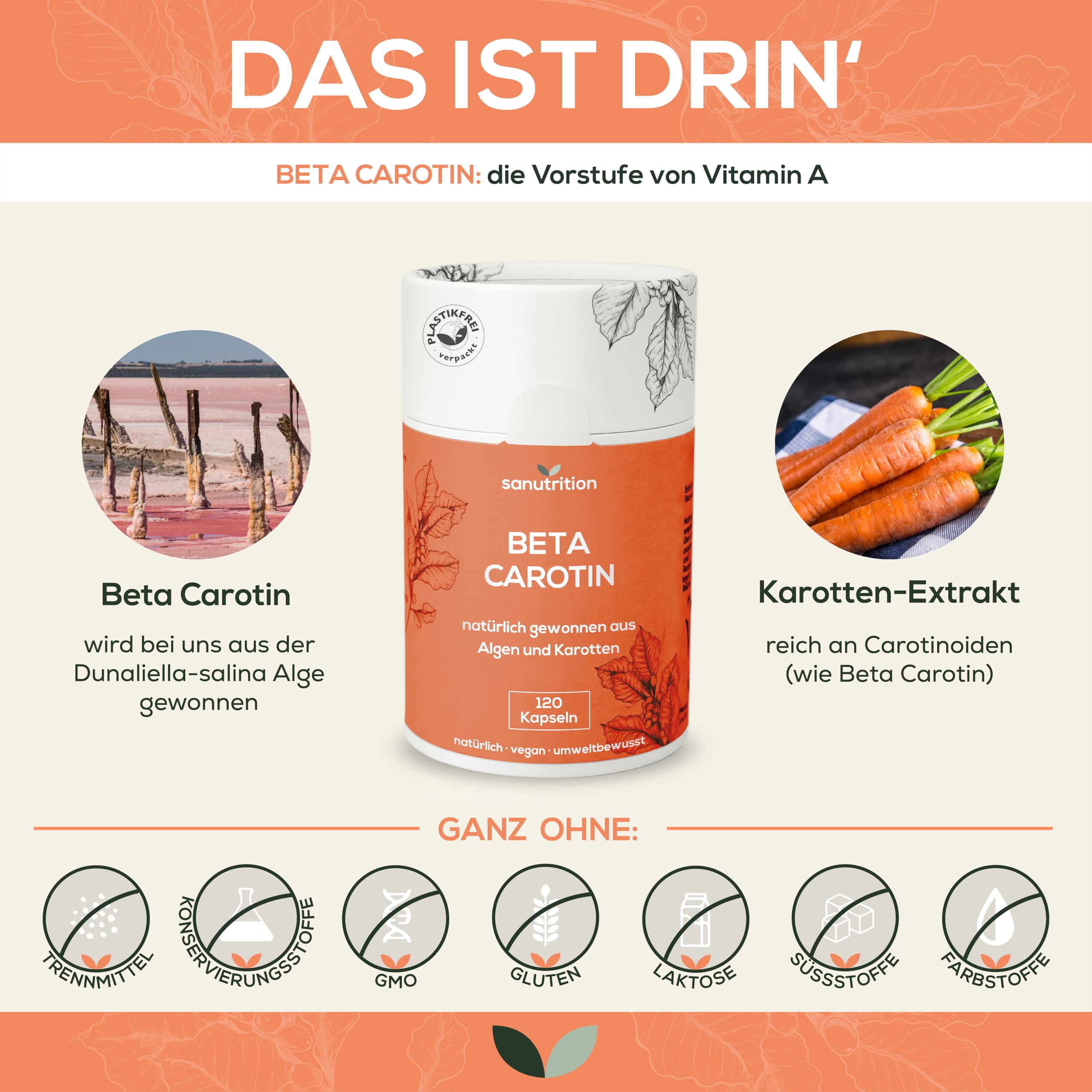 Beta Carotin aus Alge 50.000 IE Vitamin A pro Kapsel | 120 Kapseln | hochdosiert | aus Dunaliella-salina-Alge und Karotten-Extrakt | gute Bioverfügbarkeit und Verträglichkeit | vegan
