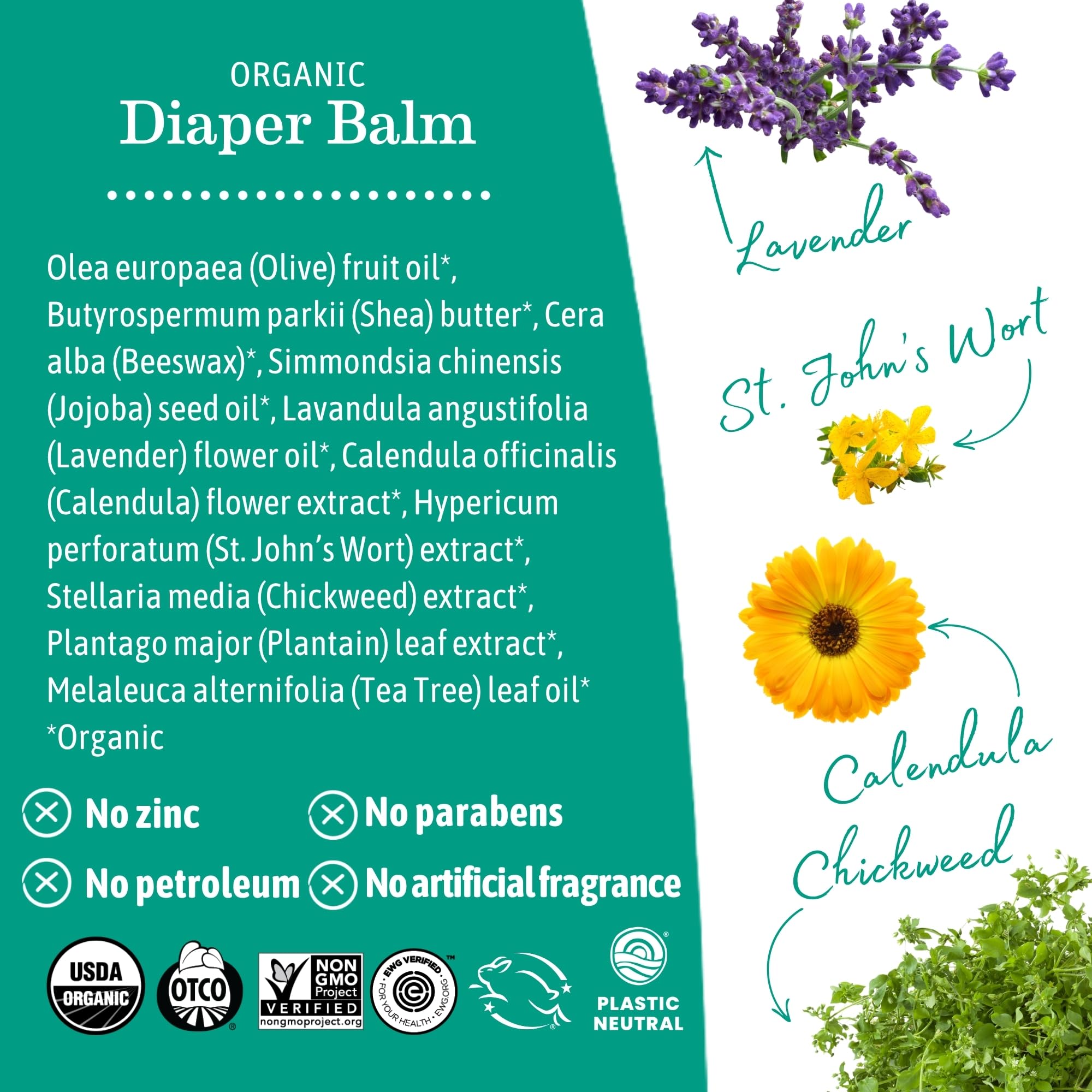 Angel Baby Bottom Balm, 2 oz, 3-Pack by Earth Mama Angel Baby