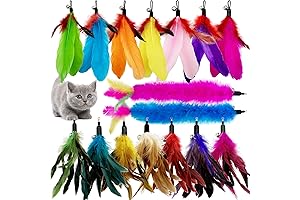 Purrfect Feather Fury Cat Toy Refill