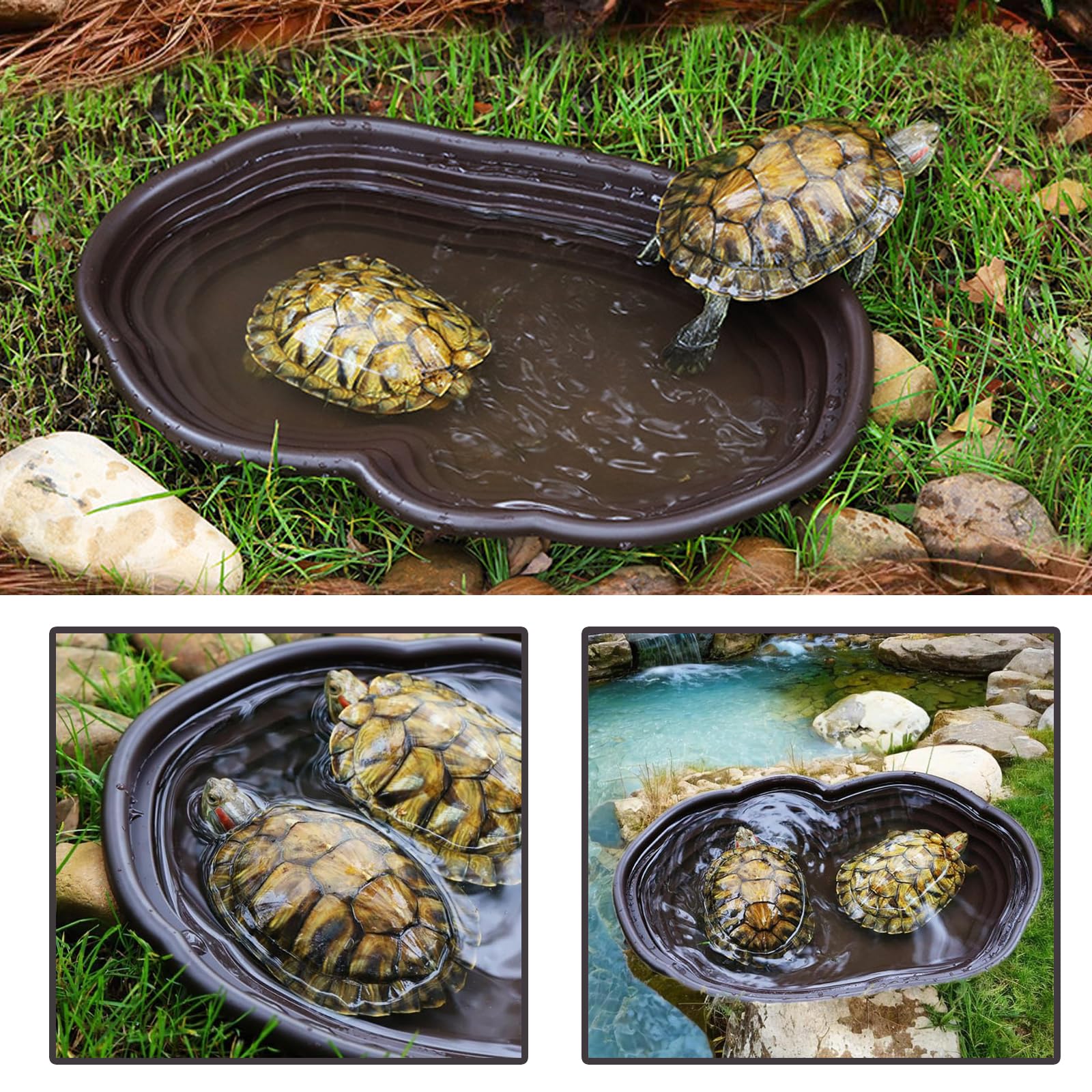 Grande Ciotola da Bagno per Tartarughe, Vasca da Bagno per Tartaruga, Piscina da Bagno per Rettili, Grande Ciotola per Acqua Rettile Adatto per Tartarughe, Rane Cornute e Altri Anfibi e Rettili