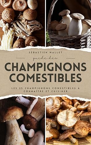 Guide Des Champignons Comestibles: Les 35 champignons comestibles à connaître et cuisiner (VerdeVita Éditions) (French Edition)