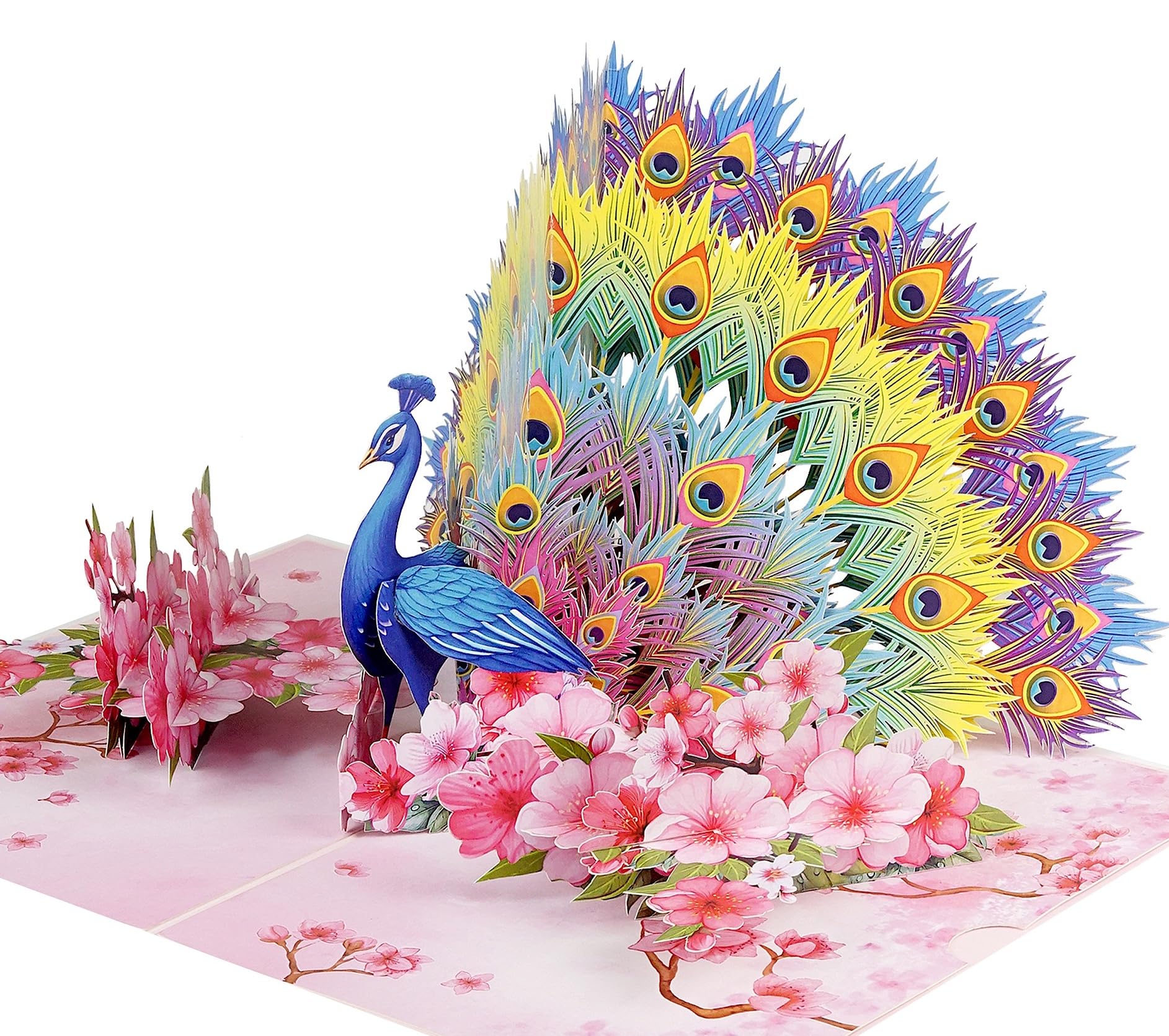 Birthday Card for Women | 3D Pop Up Happy Birthday Greeting for Woman Mom Grandma Daughter (Size 15x20cm - Peacock Cherry)