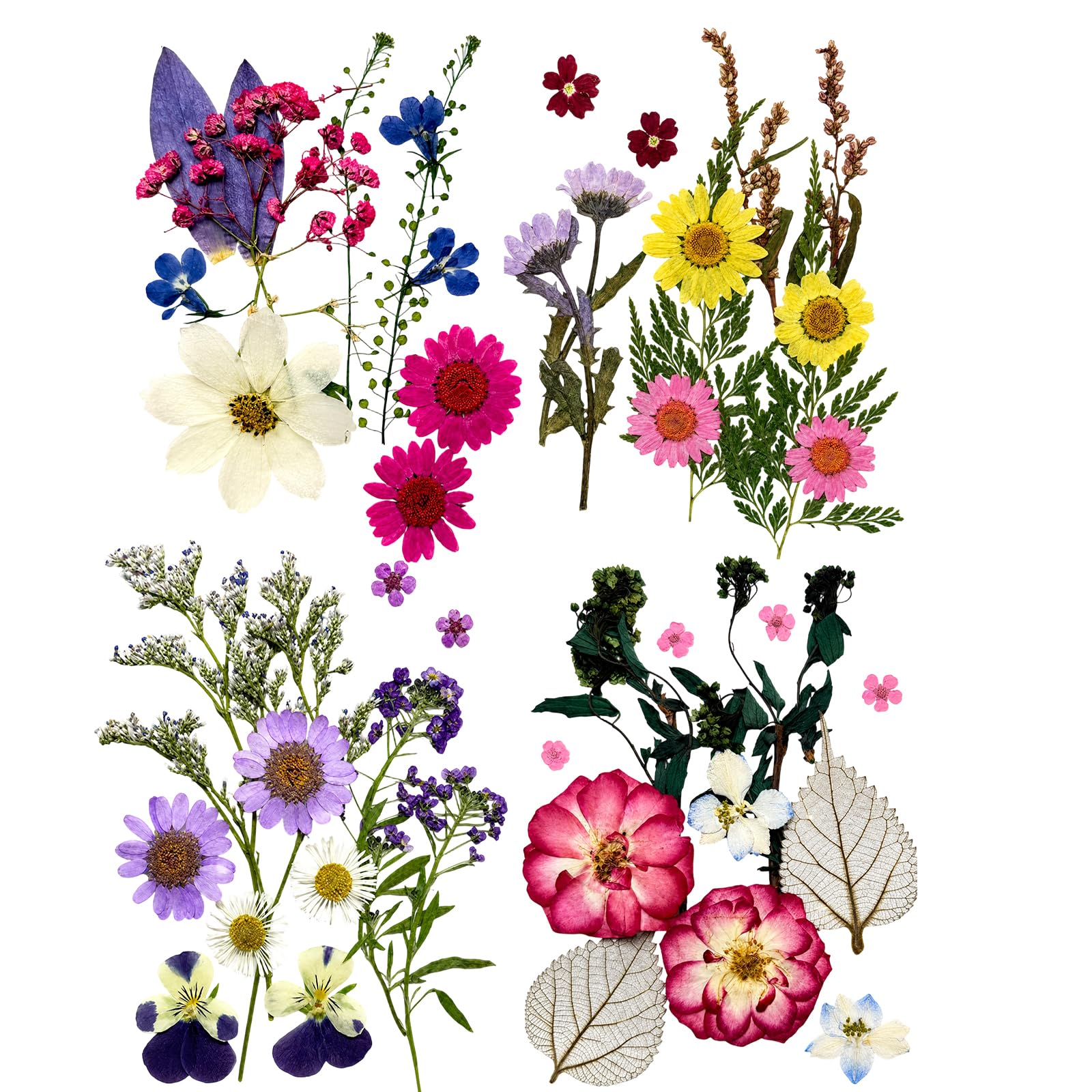 48pcs Edible Flowers for Cakes, Decorative Cake Toppers for Women, Cake Decorations Flowers for Baking, Set of 48 Dried Floral Embellishments for Dessert Presentation and Special Occasions