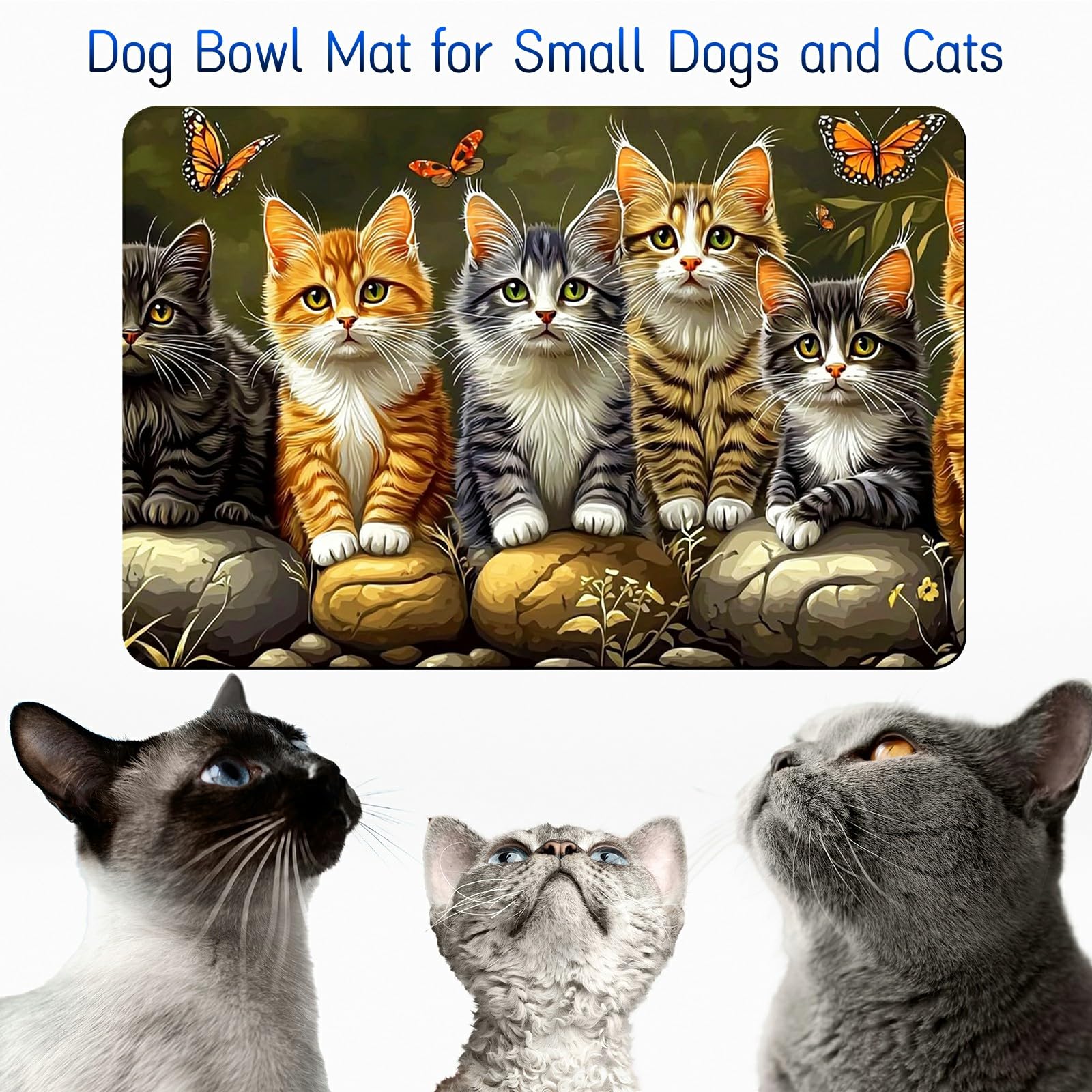 View 7