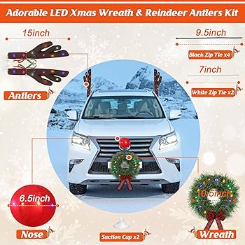 8/4 CS優勝 リース御代紅海 リースギャラクシー 即日発送 スリーブ付き 8/4 CS優勝 リース御代紅海 リースギャラクシー 即日発送