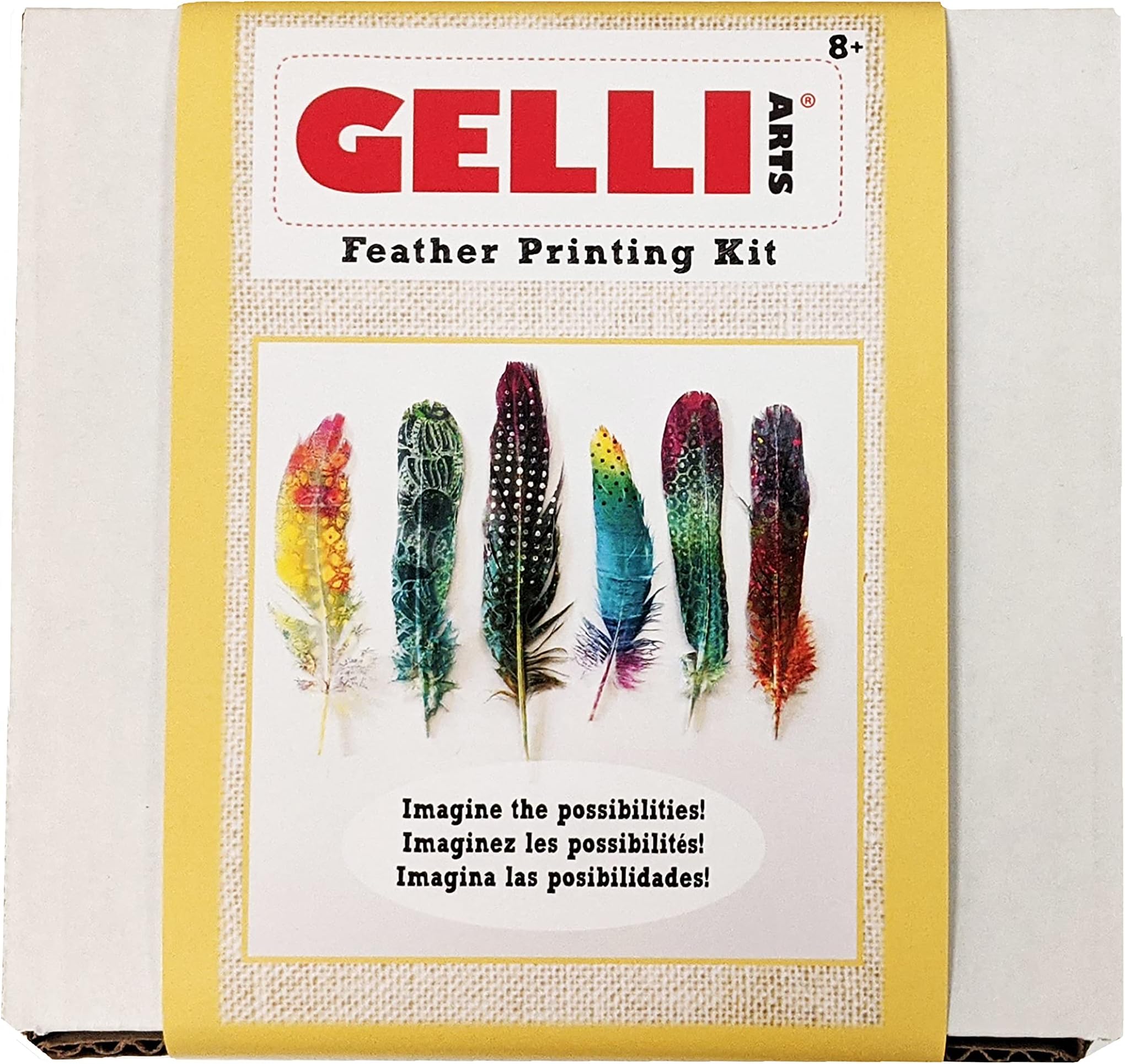 Gelli Arts Feather Printing All in One DIY Craft Set with Gel Printing Plate, Acrylic Paint, Roller, Paper, Feathers, Design Elements, Storage Container- One of a Kind Artwork, Easy Clean Up