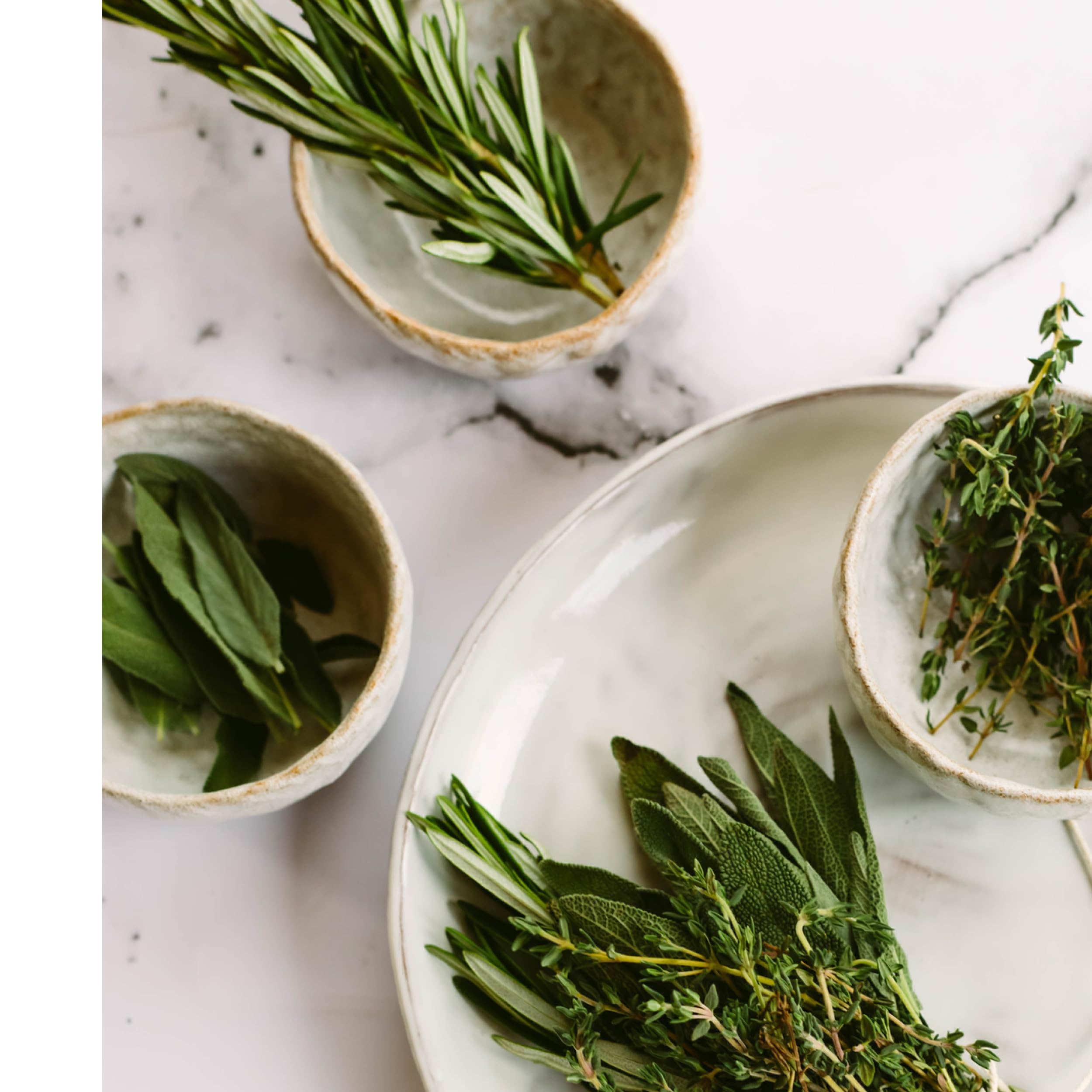 Crème de jour à la rose avec de l'acide hyaluronique et des herbes - Certifié bio et végétalien - Renforce la barrière protectrice de la peau et lisse la peau - Pour tous les types de peau -