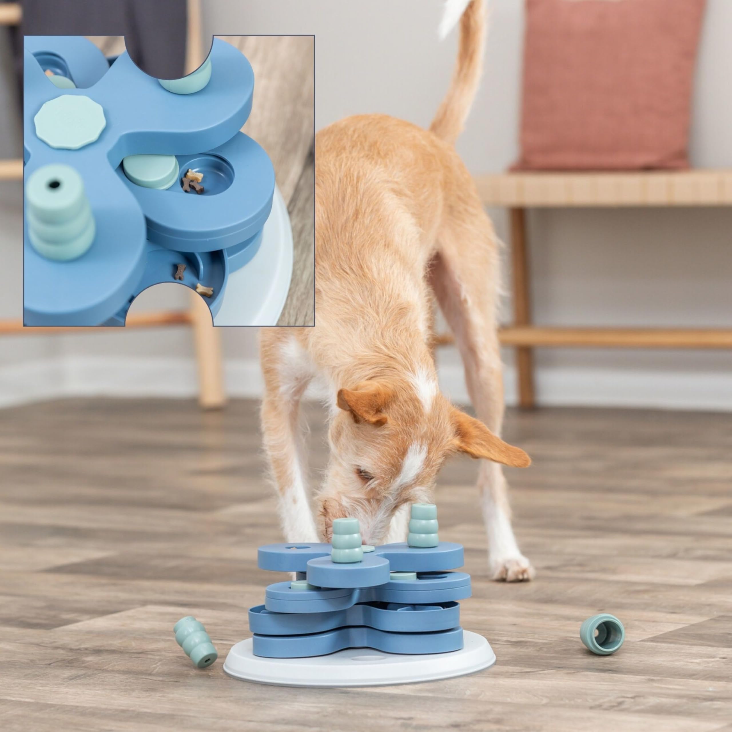 Amazon | TRIXIE 犬おもちゃ ペット用知育玩具 ドッグアクティビティ