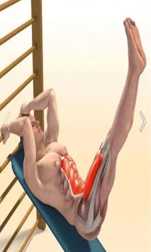 Training Body Building free