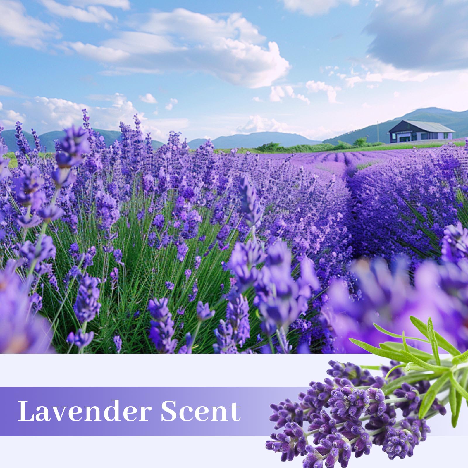 SCENTORINI Lavender Scented Drawer Liners, Scent Paper Liners for Wardrobe Bedroom, Closet, Shoe Cupboard 6 Sheets - Image 4