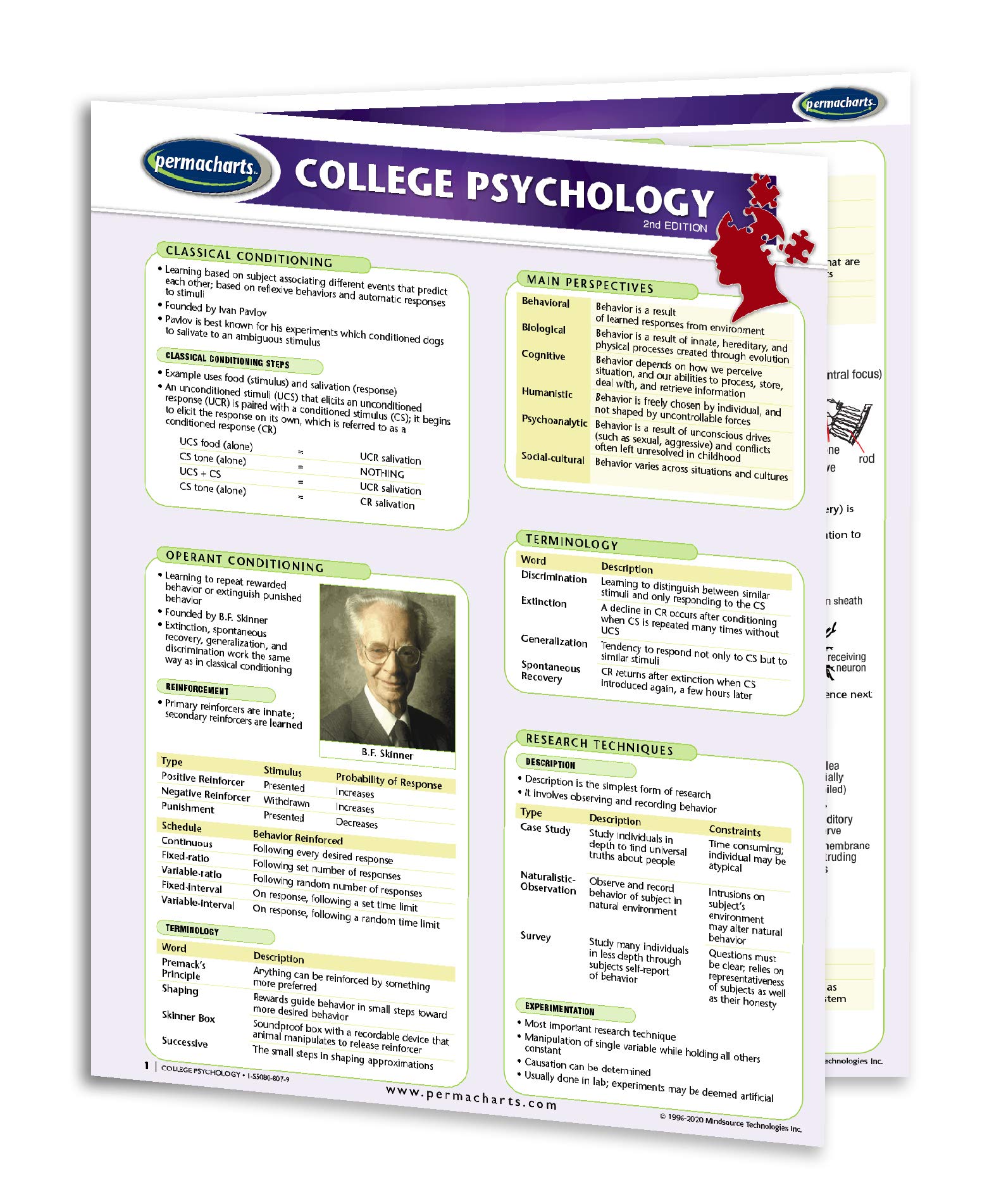 College Psychology Guide - Academics Quick Reference Guide by Permacharts