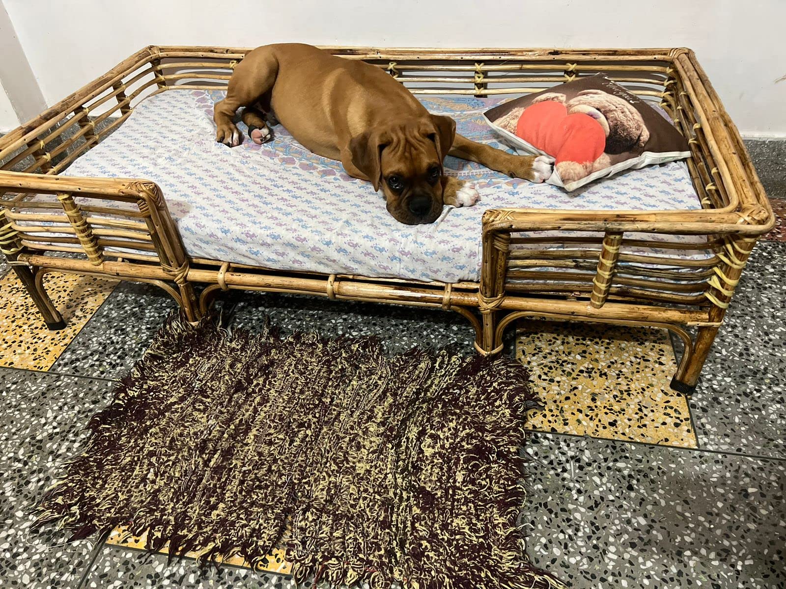 Avika Bhatiacane Cane Bamboo Wood PET Bed for Big Dogs and Cats with Foam (L: 48, W : 24, H: 14 INCH) (B0BGF8S8FN) Amazon Price History, Amazon Price Tracker