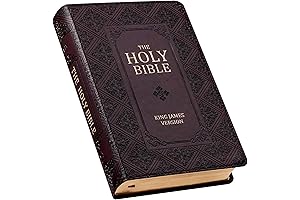 KJV Holy Bible, Giant Print Standard Size Faux Leather Red Letter Edition