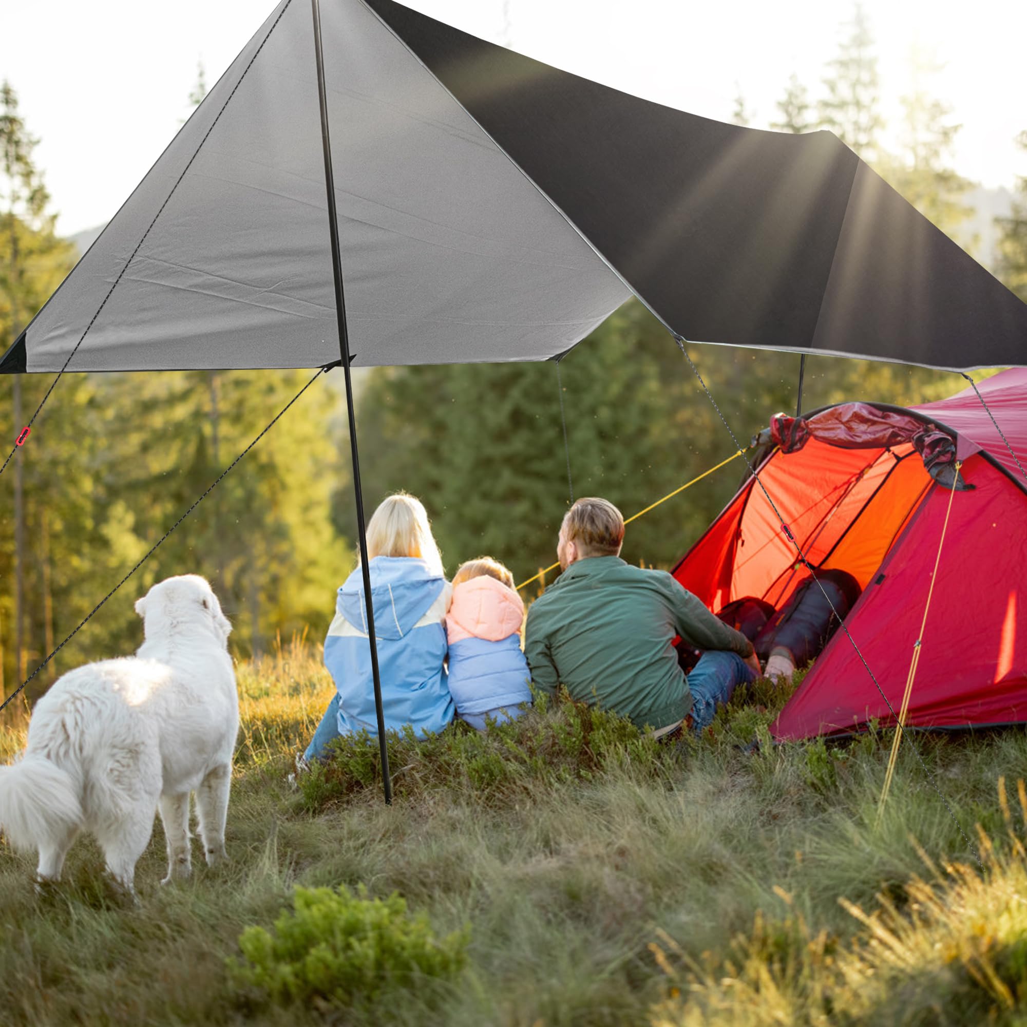 IEE ILULU Toldo de Refugio Camping, 3x3m Tiendas de Campaña, Tarp Impermeable Exterior, Anti-Viento Toldos con 6 Estacas y 6 Cuerdas para Piscina Jardín Pesca Senderismo Mochila (Negro, 3x3m)
