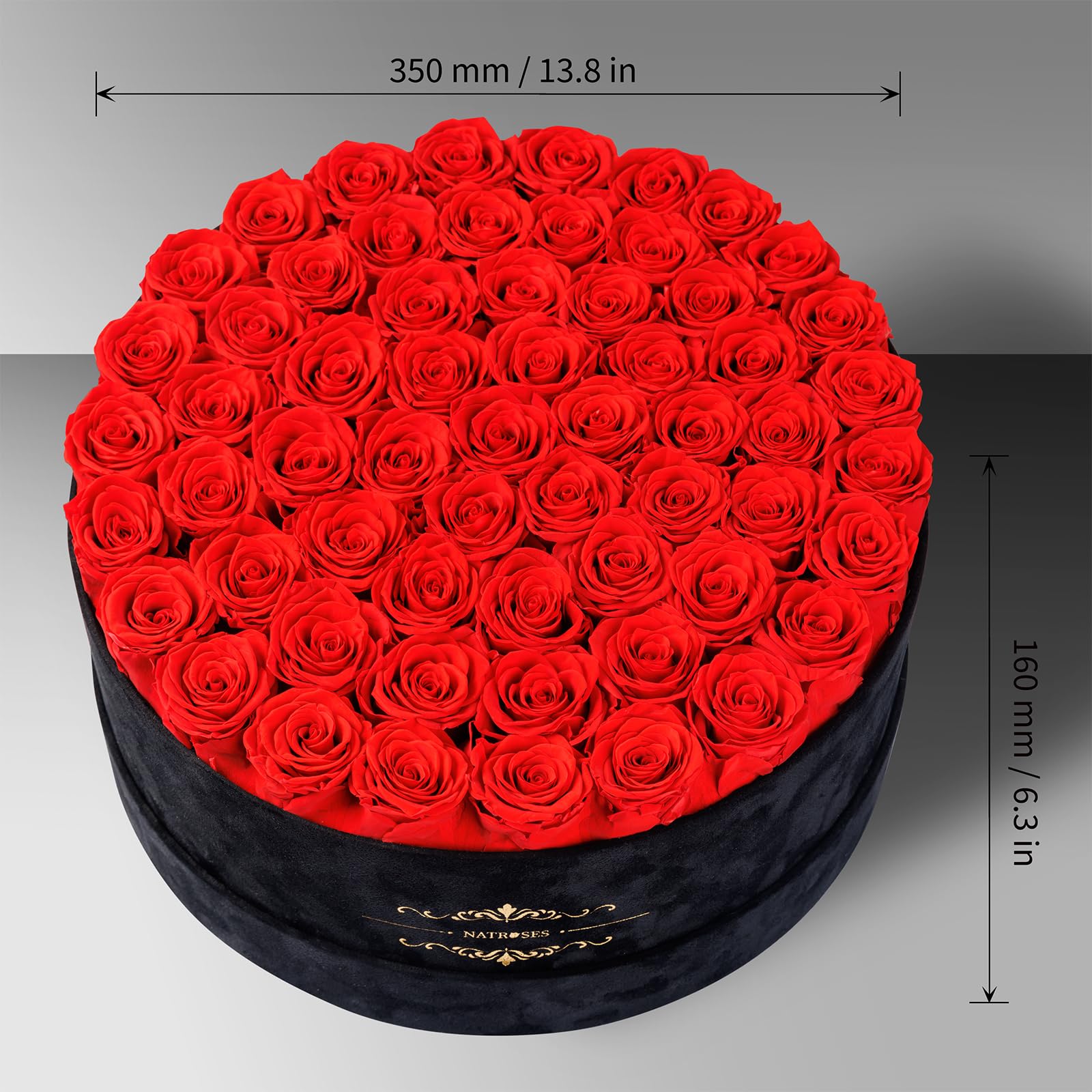 NATROSES Gifts for Her 27 Piece Forever Preserved Roses in a Box, Preserved Flowers for Delivery Birthday, Flowers Gifts for Mothers Day, Dusty Pink: Red 60 Roses