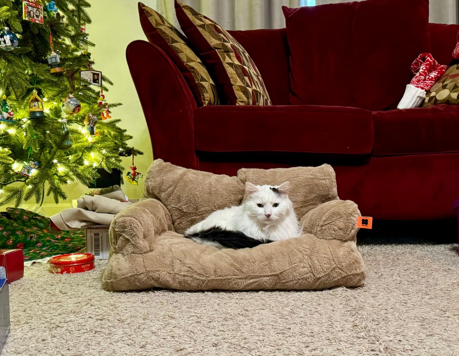 MEWOOFUN Cat Bed for Indoor Cats, Washable Dog Beds for Small Dogs & Cats with Removable Cover, Fluffy Cat Couch with Non-Slip Bottom (Grey, 26.0" L X 19.0" W X 13.0" Th) photo review