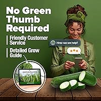 Vista 313 de HOME GROWN Más de 1000 semillas de cilantro para plantar en interiores o exteriores, hierbas tradicionales sin OMG, semillas de plantas de cilantro