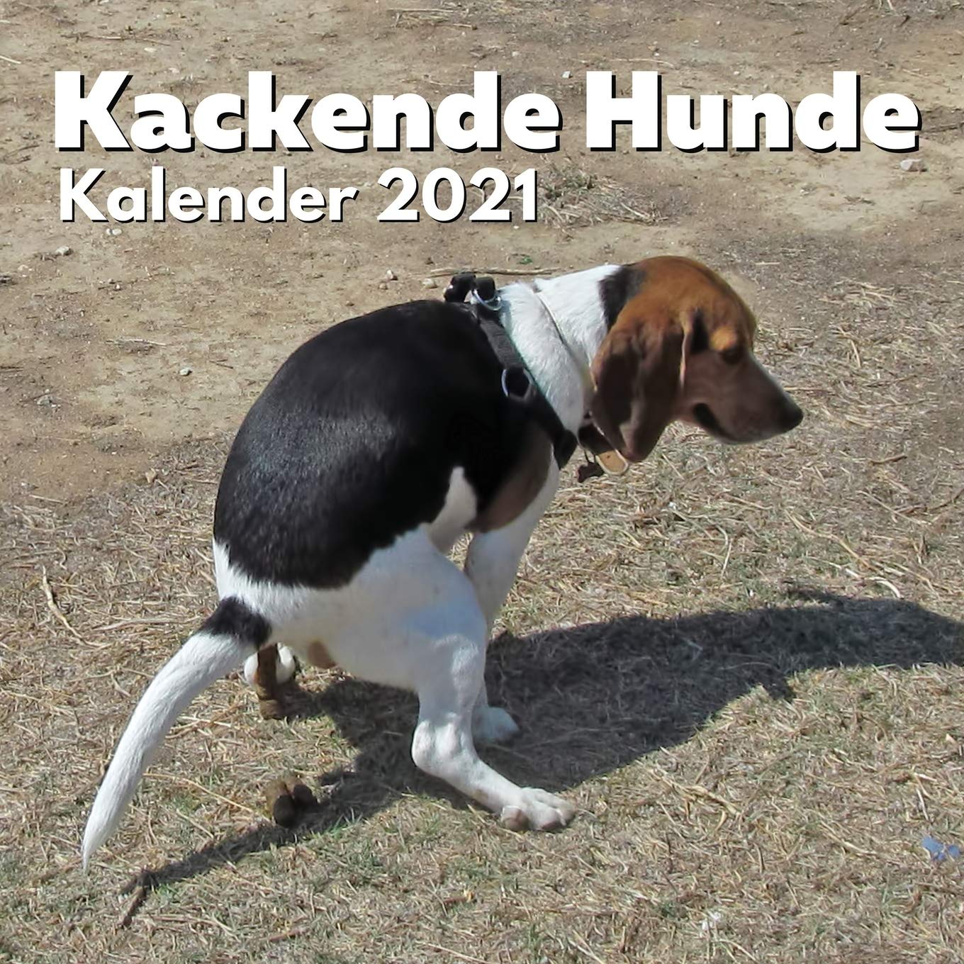 Kackende Hunde Kalender 2021: Lustige Hunde Kalender | Hundeliebhaber Geschenke für Frauen Männer Menschen Kinder Geburtstag Weihnachten (German Edition)