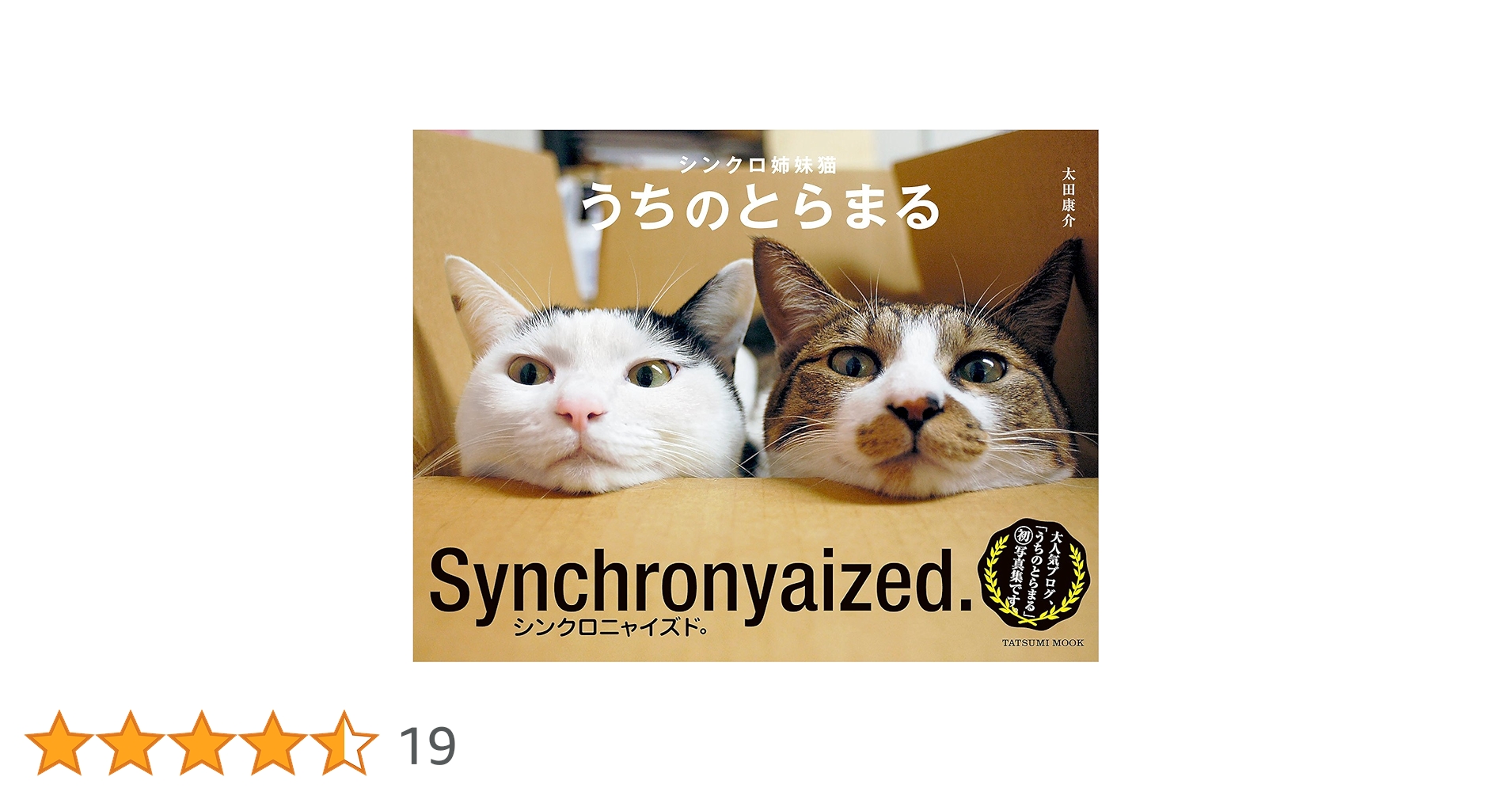 とらねこページ IWAGO'S BOOK ②『とらねこ』 | 株式会社クレヴィス