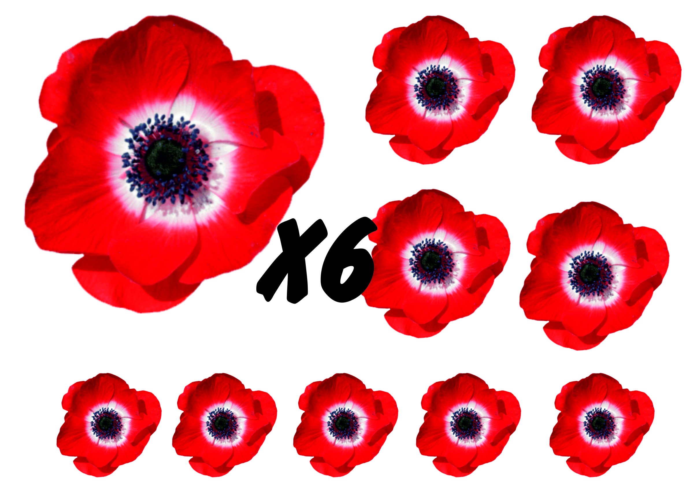 Poppies Flower Decals Car Stickers Graphics Nursery Wall Window Decorations Art 10 Pack (60)